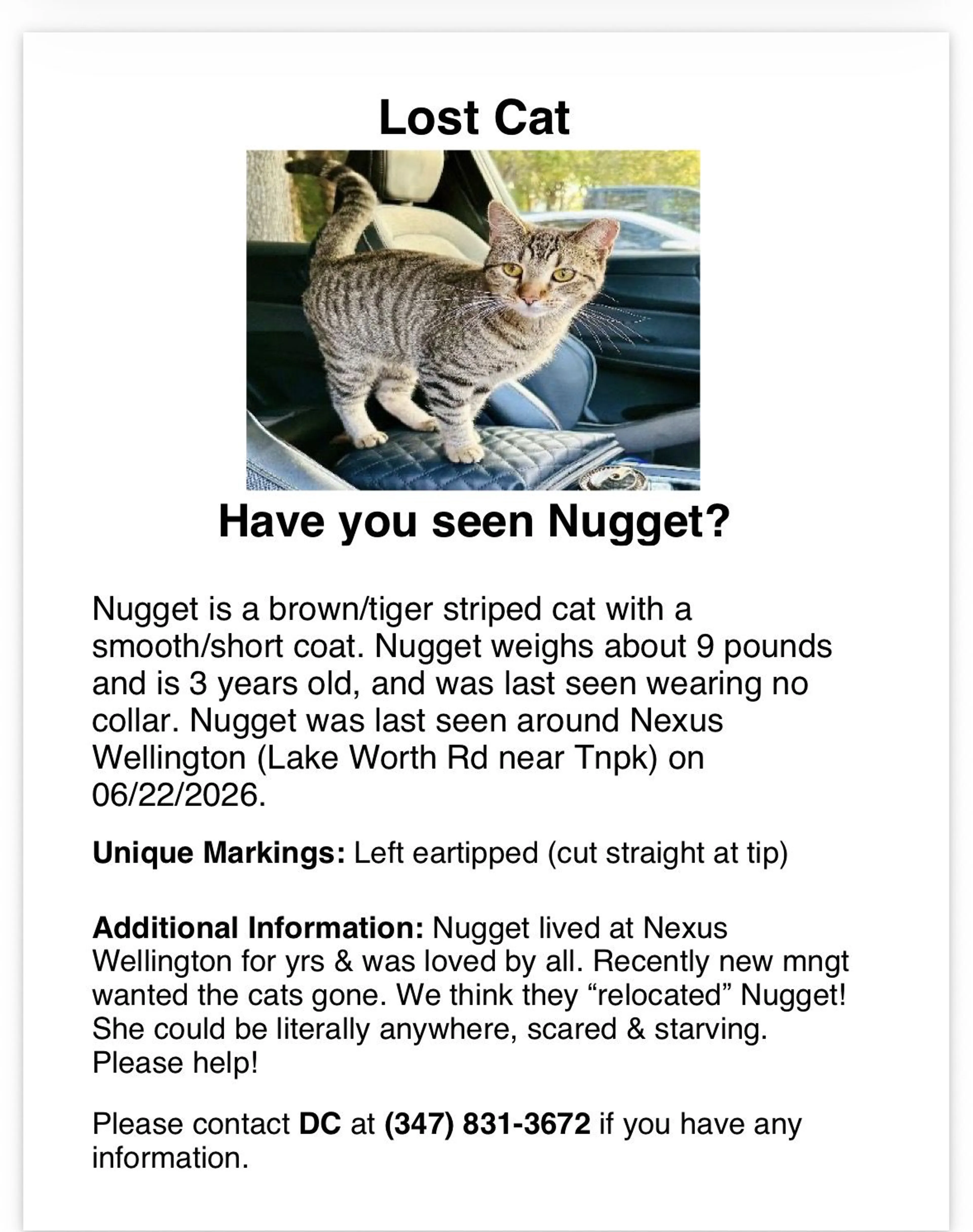 cdn image