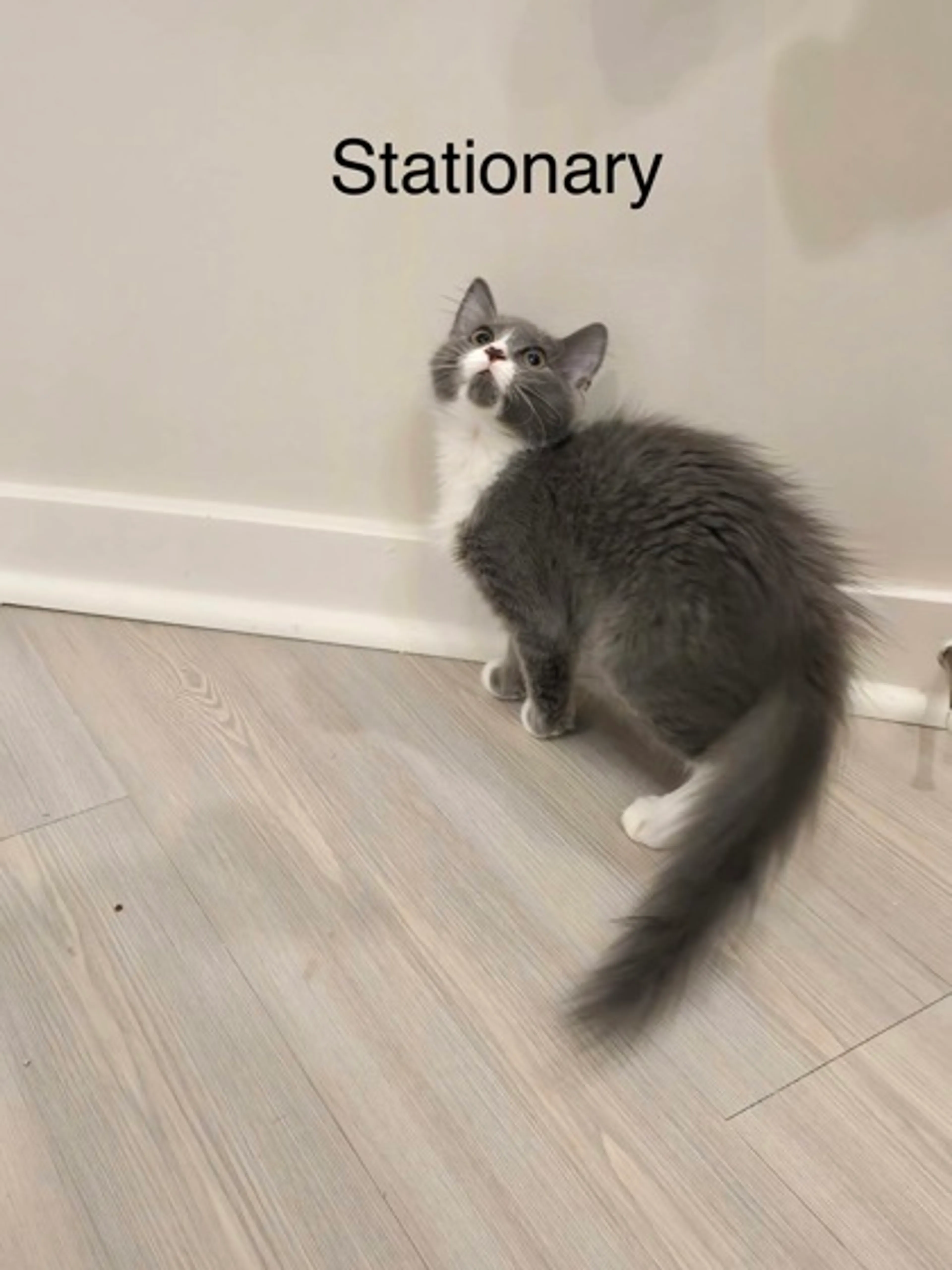 -1