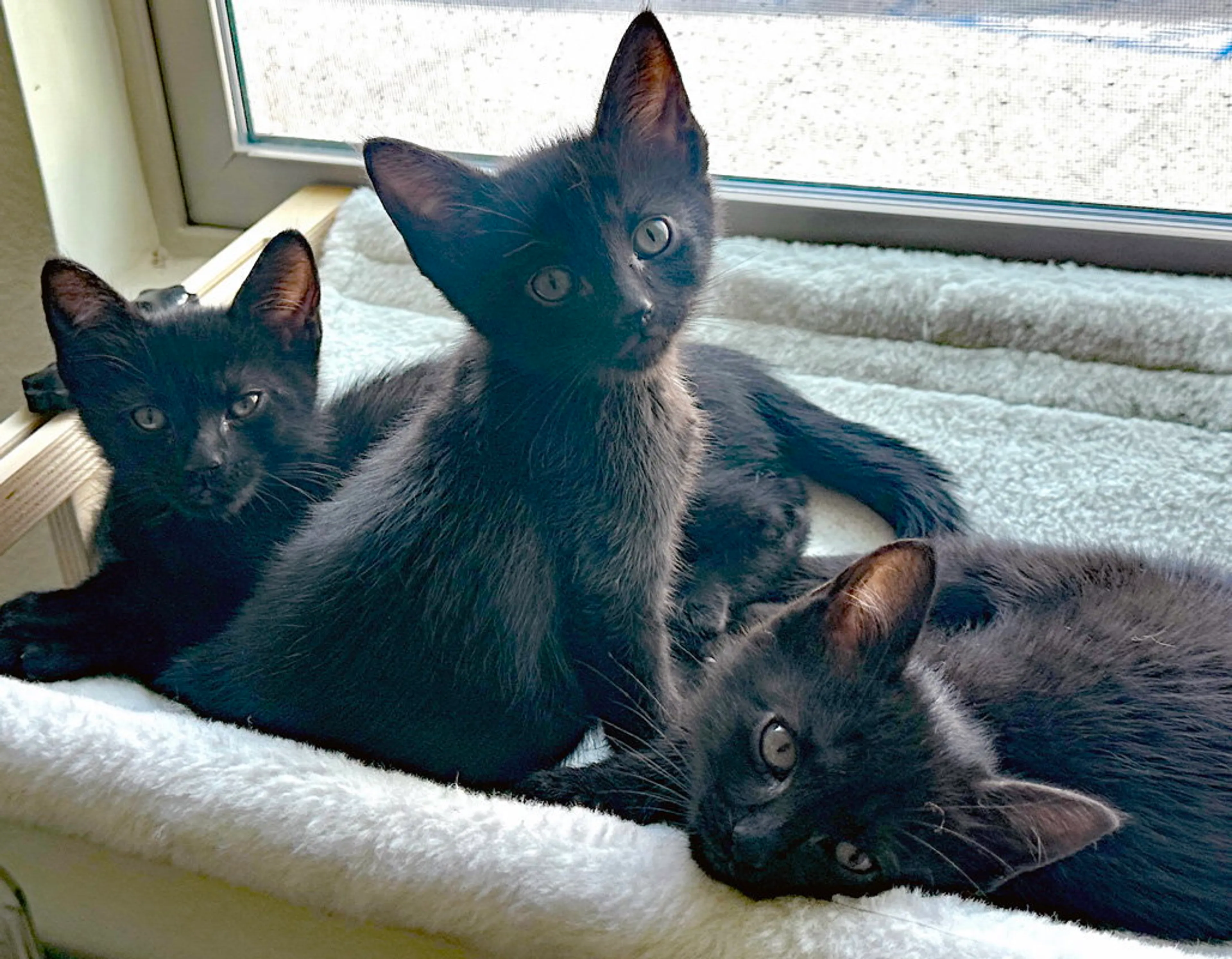 -1