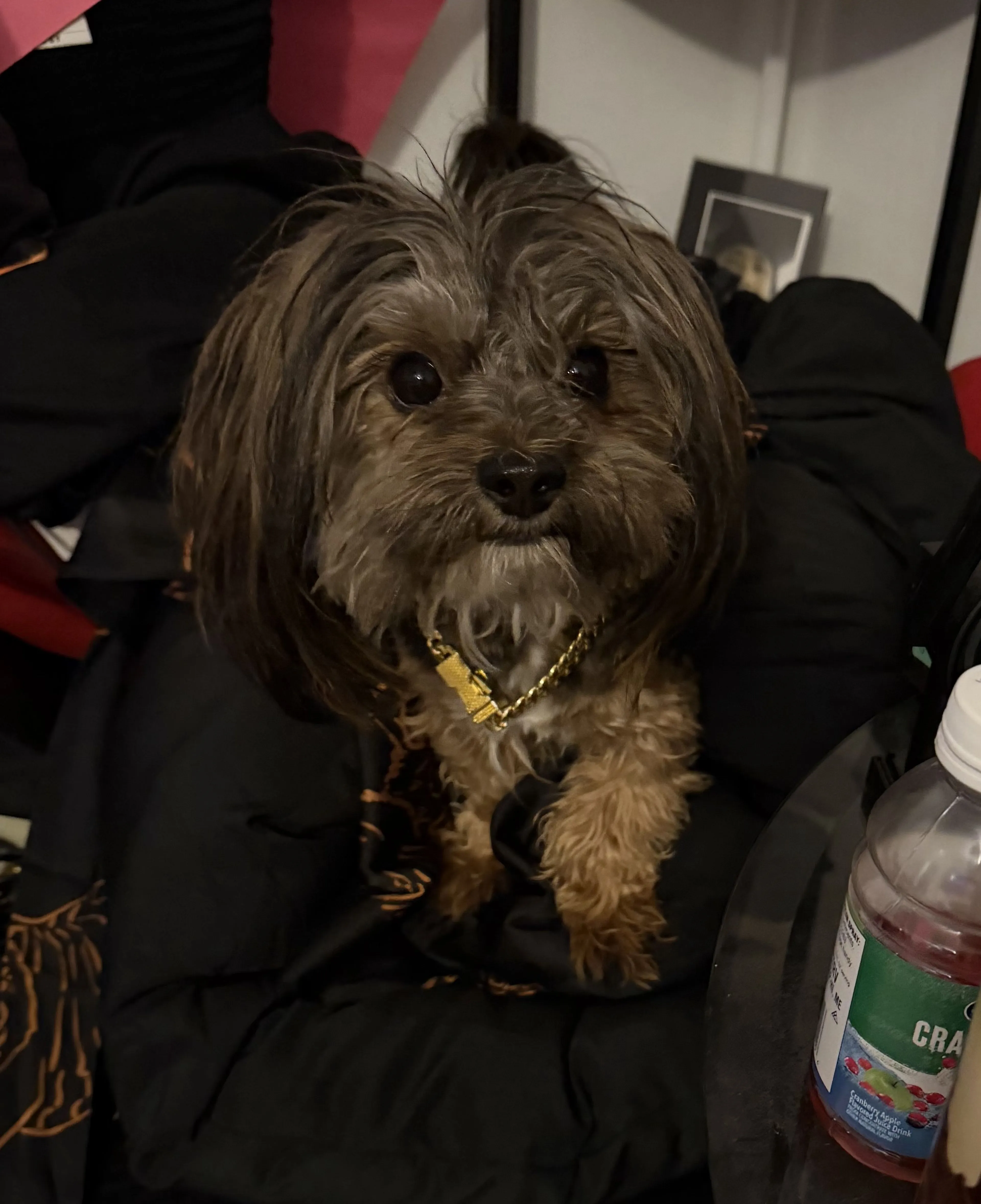 cdn image