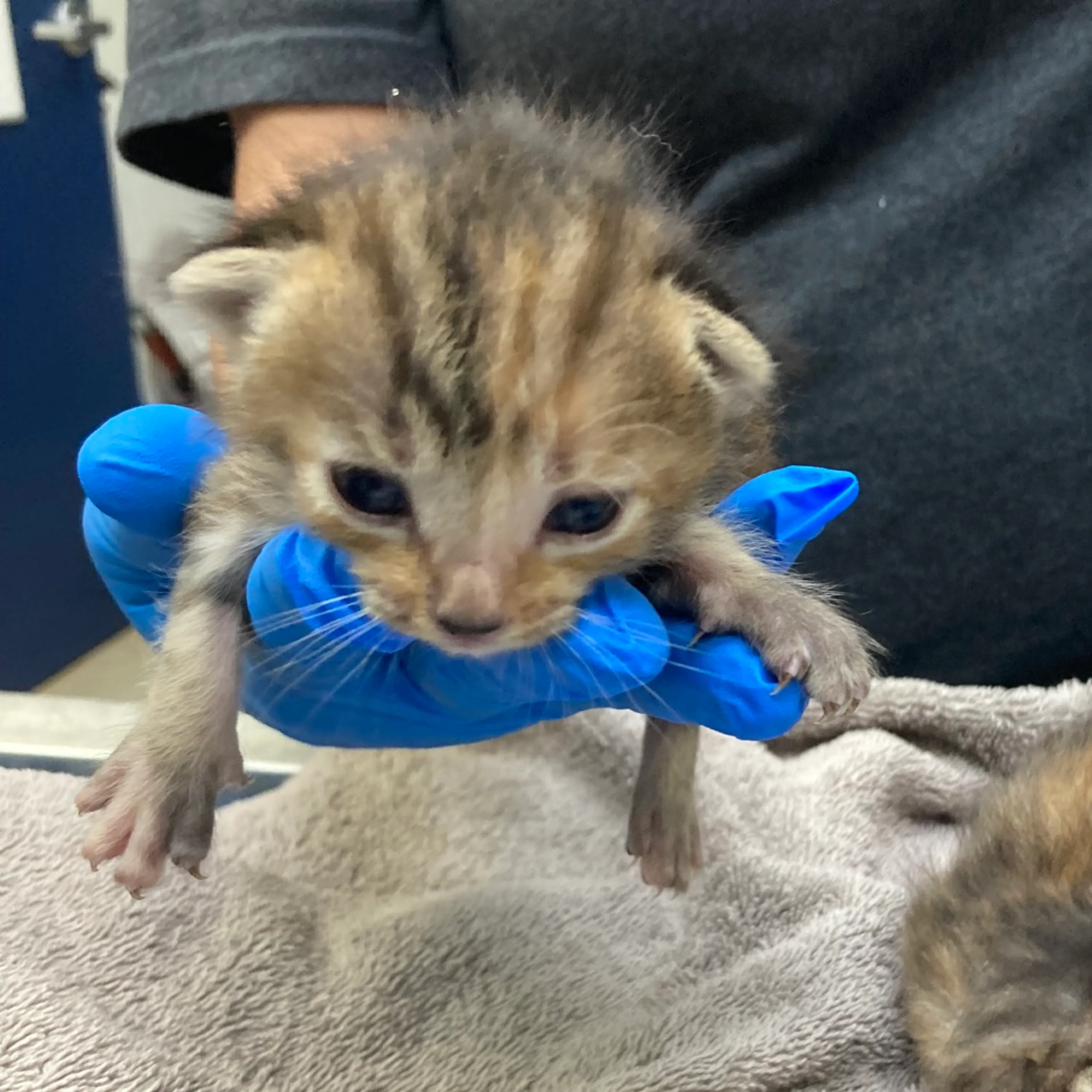 -1