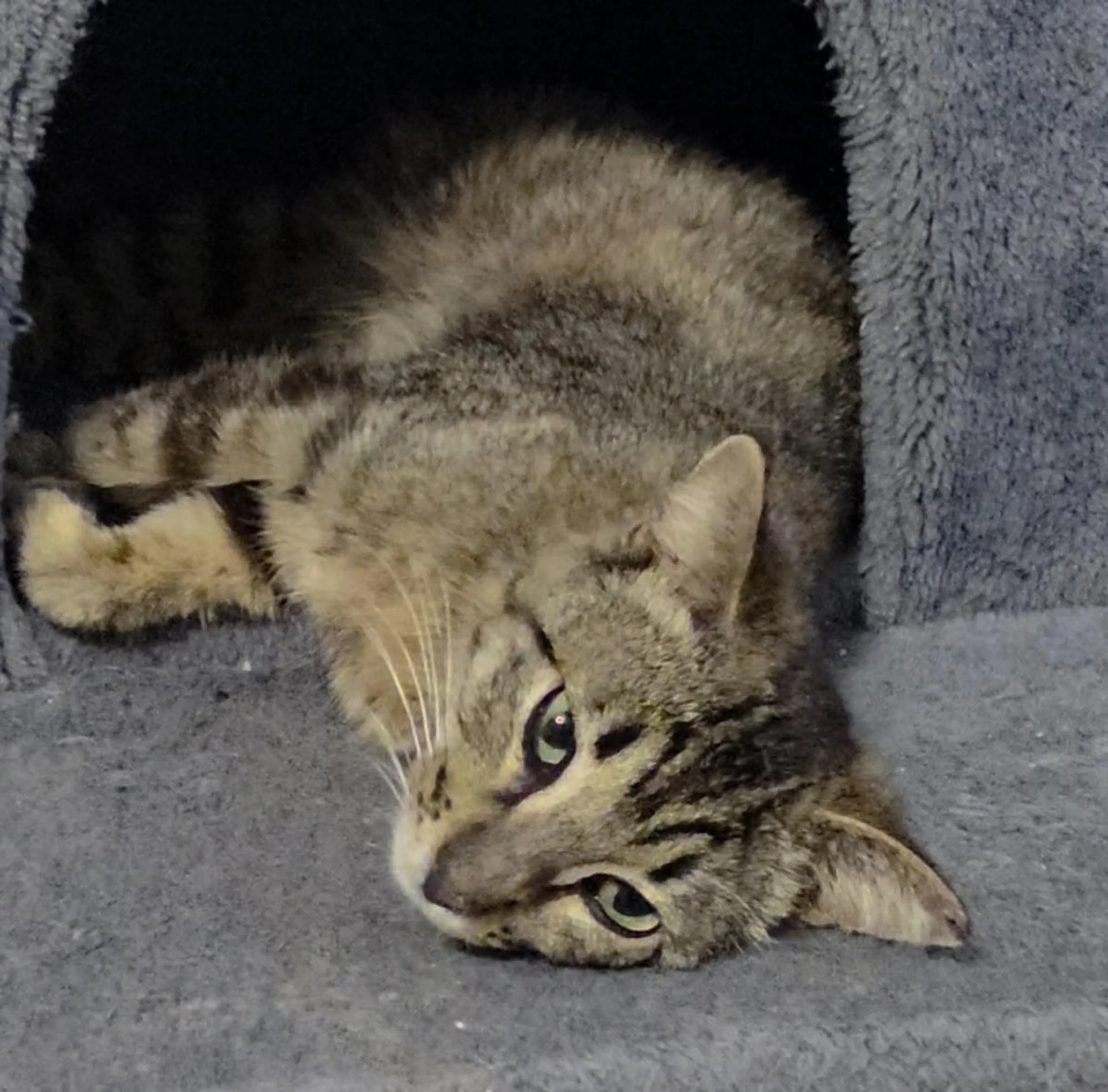 -0
