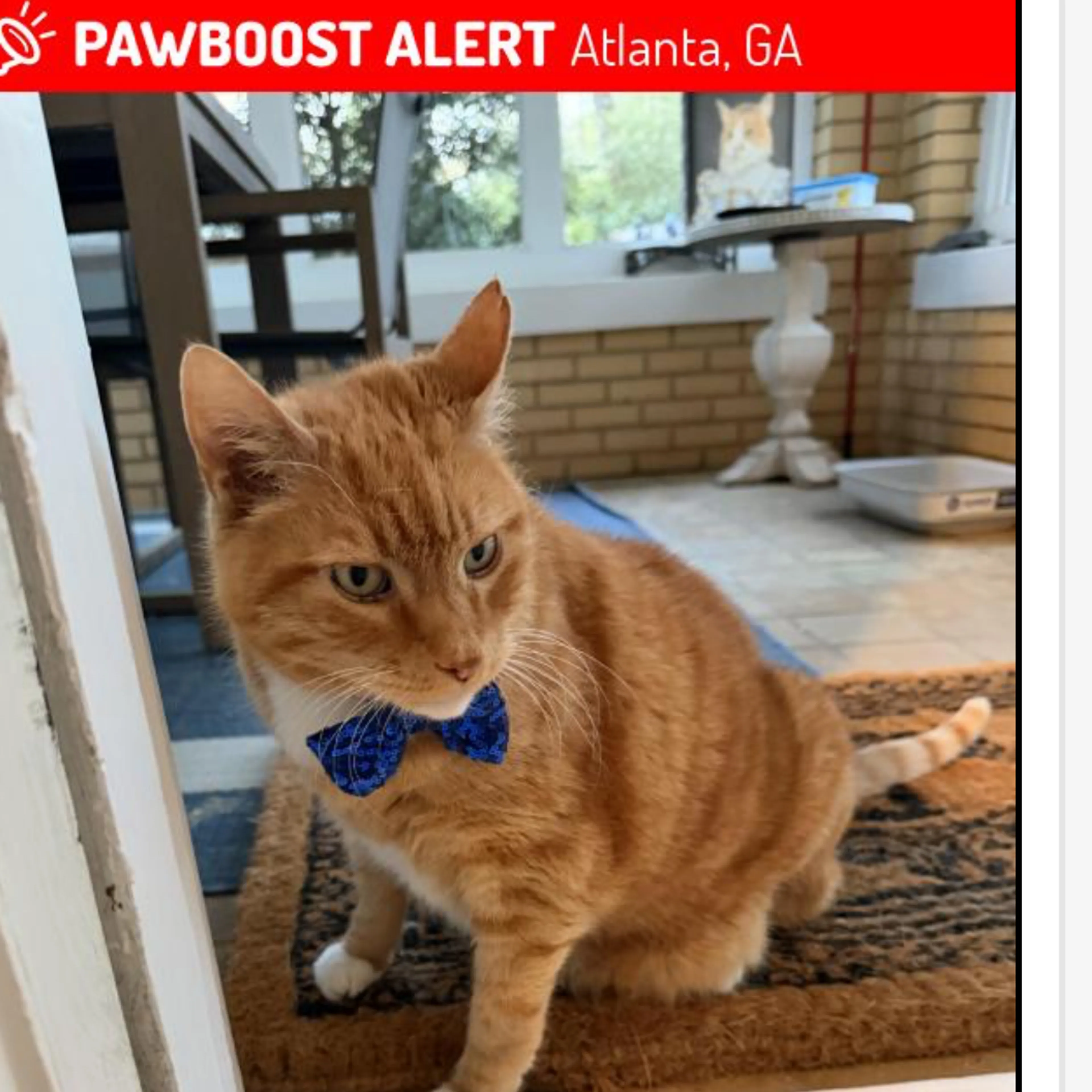 -1