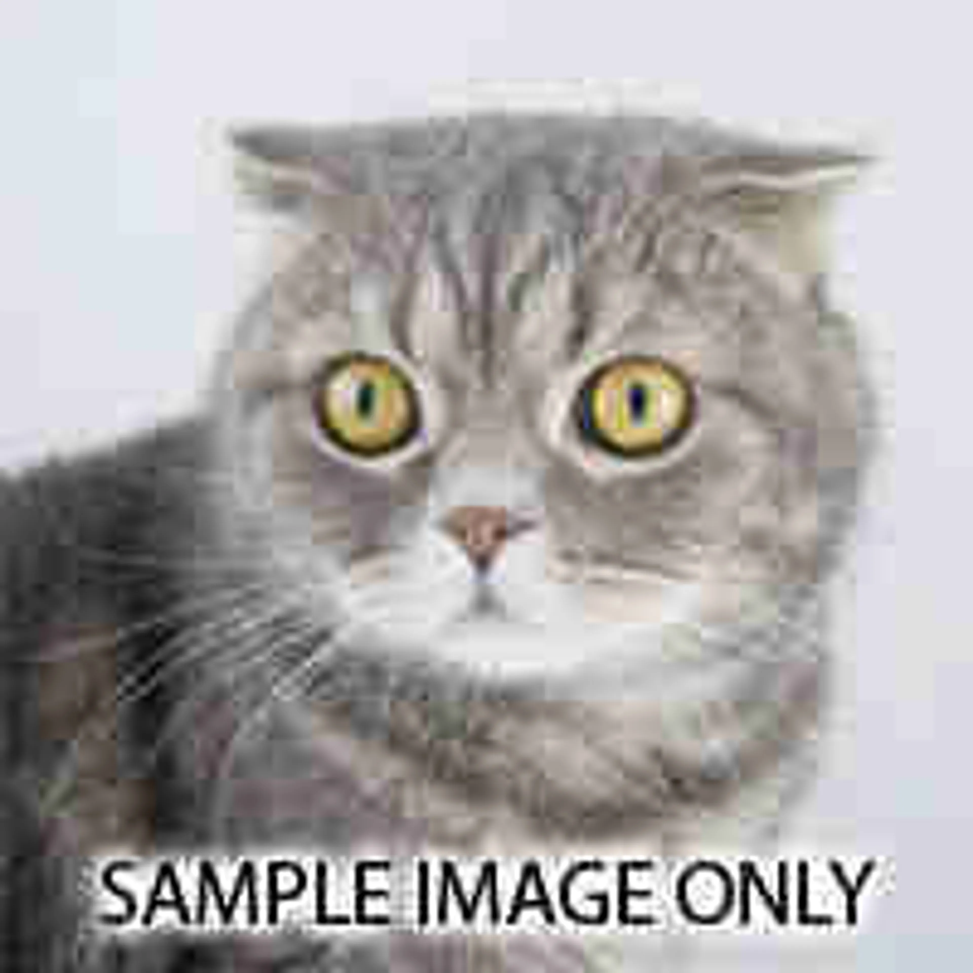 cdn image