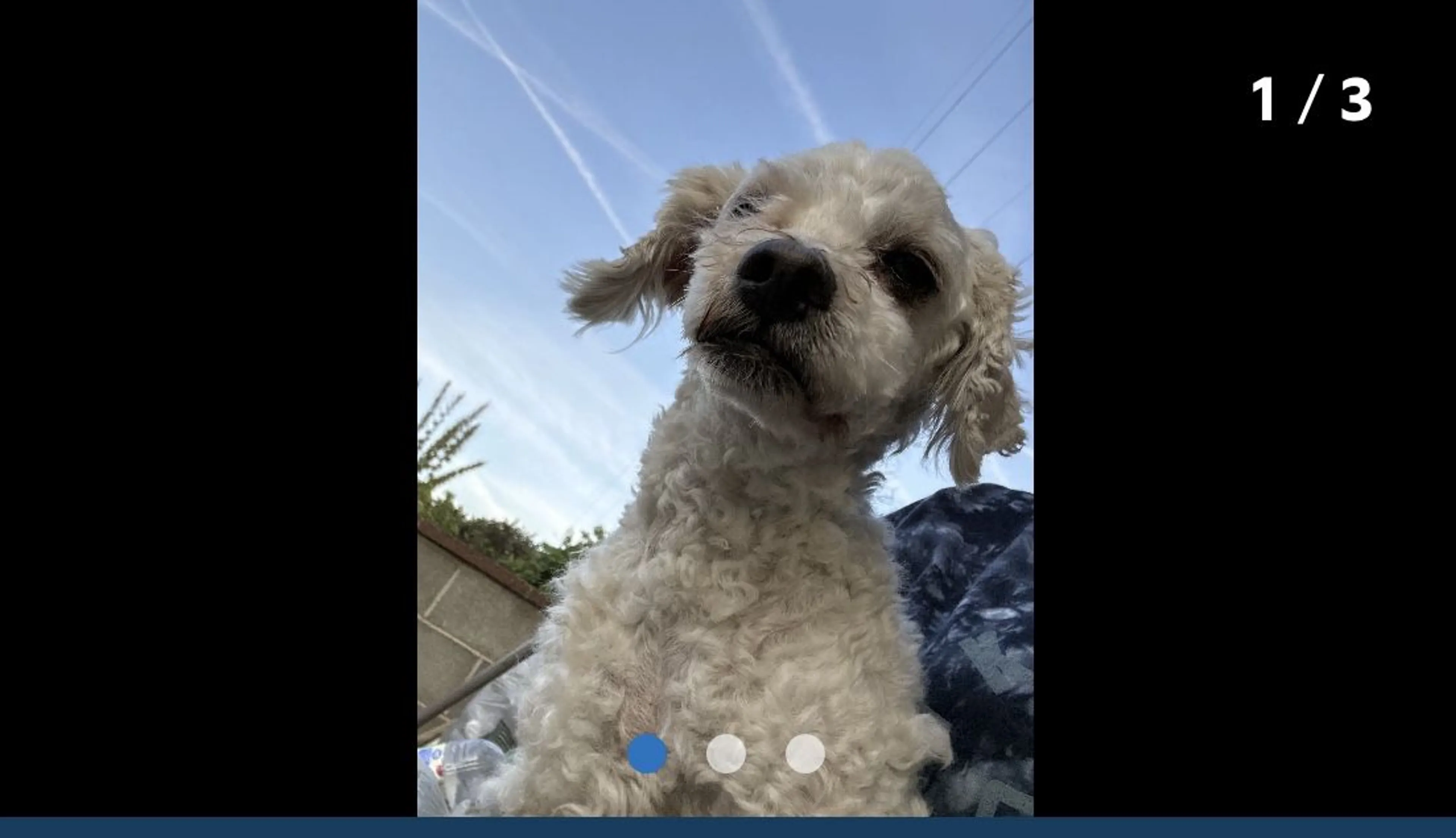 -0