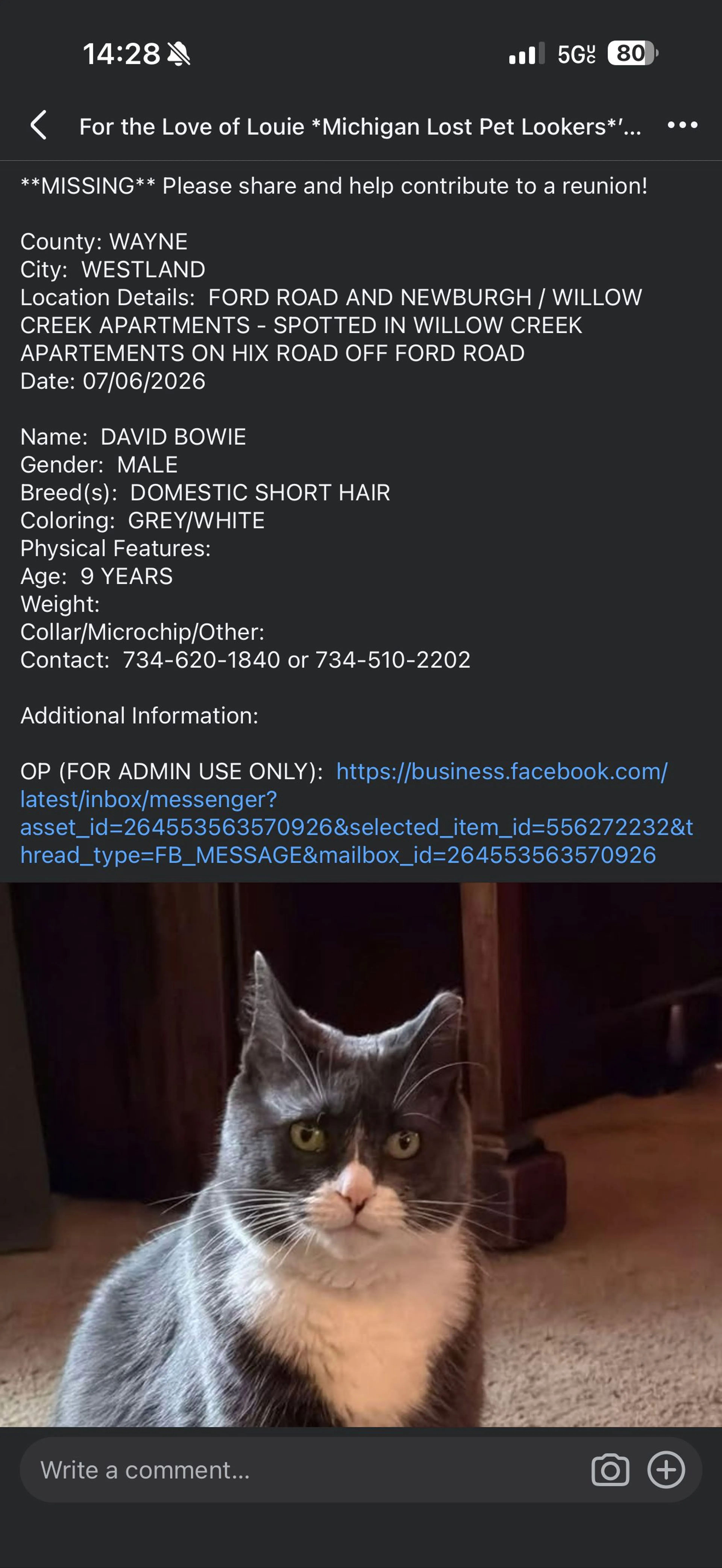 cdn image