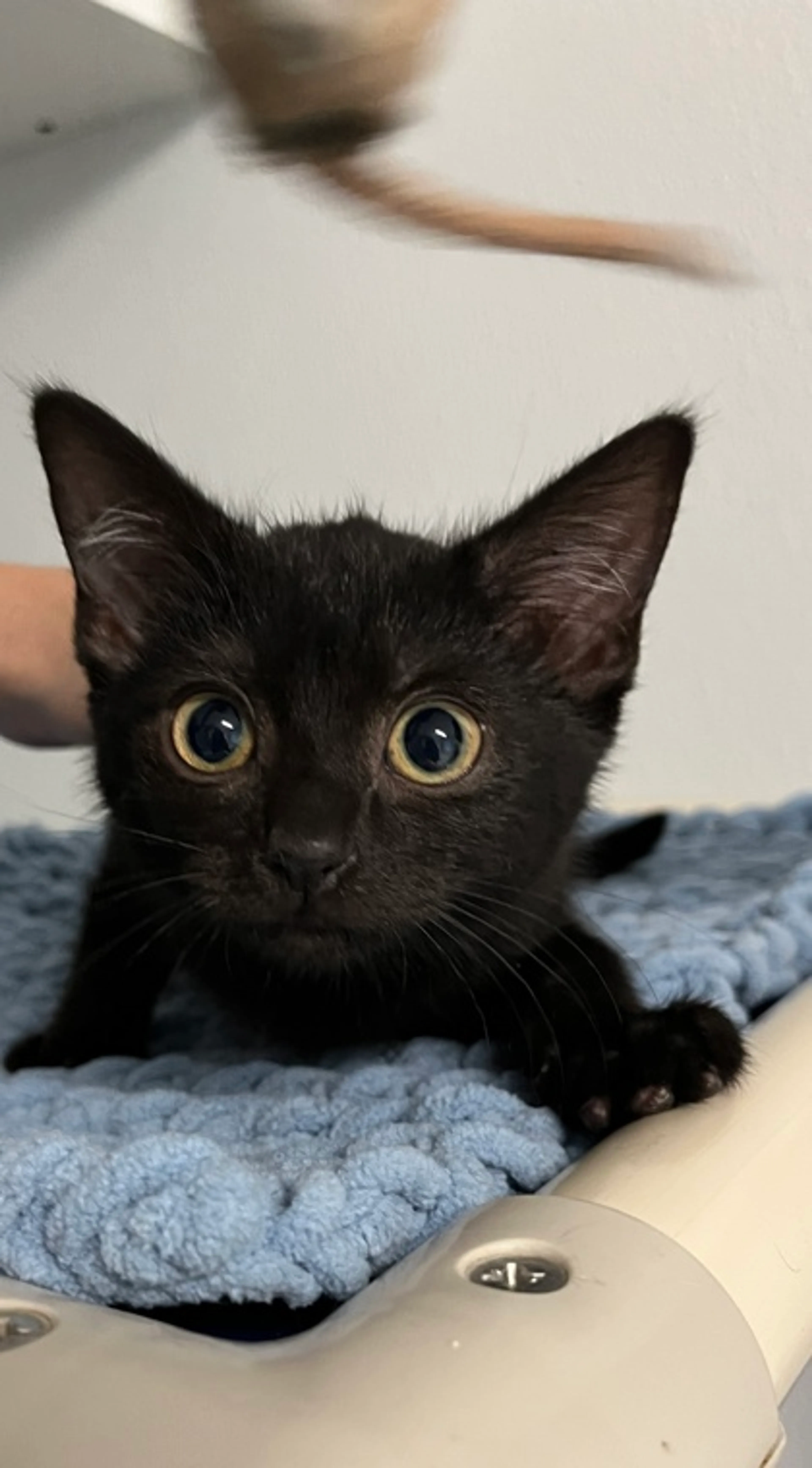 -0