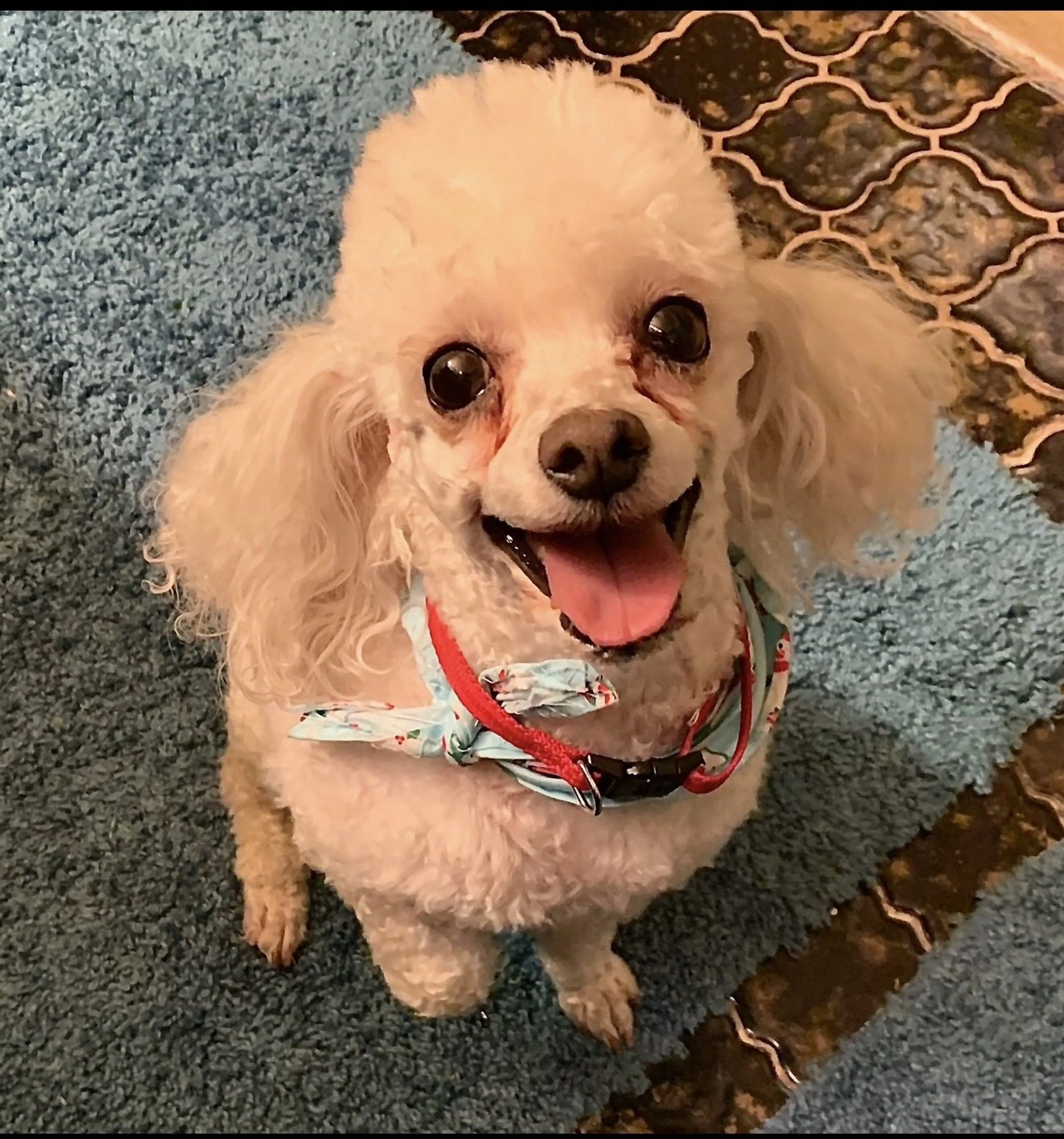 -1