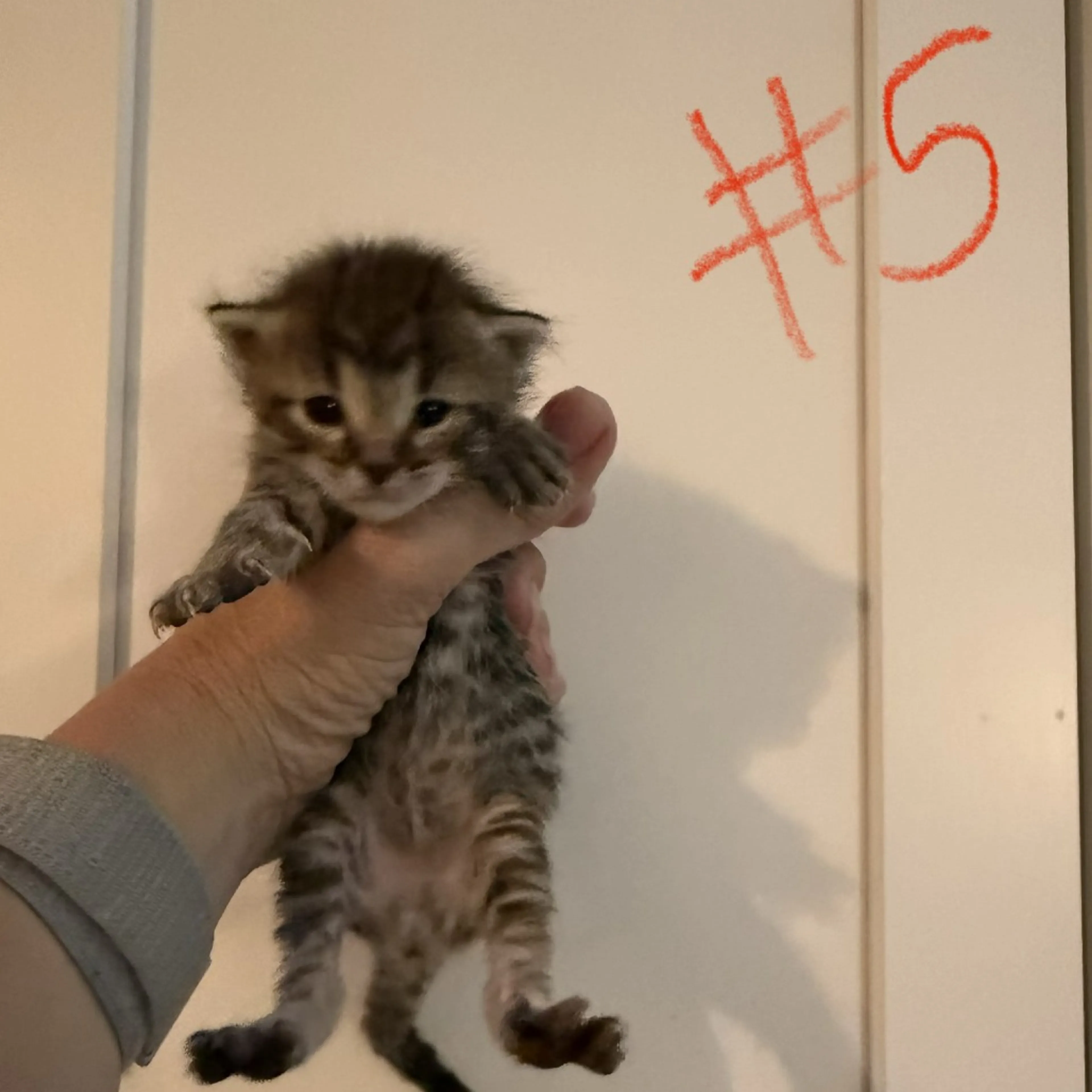 -1