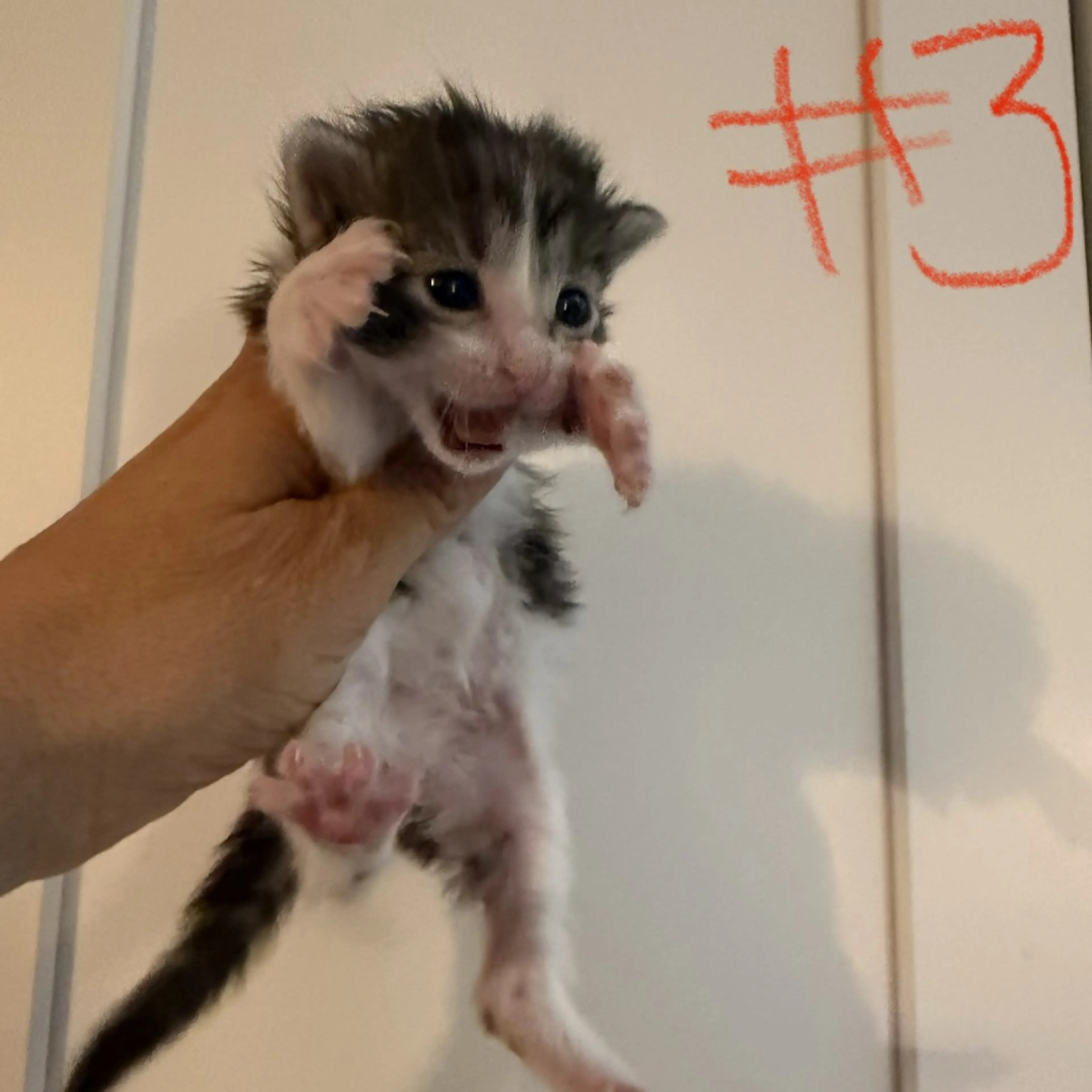-3