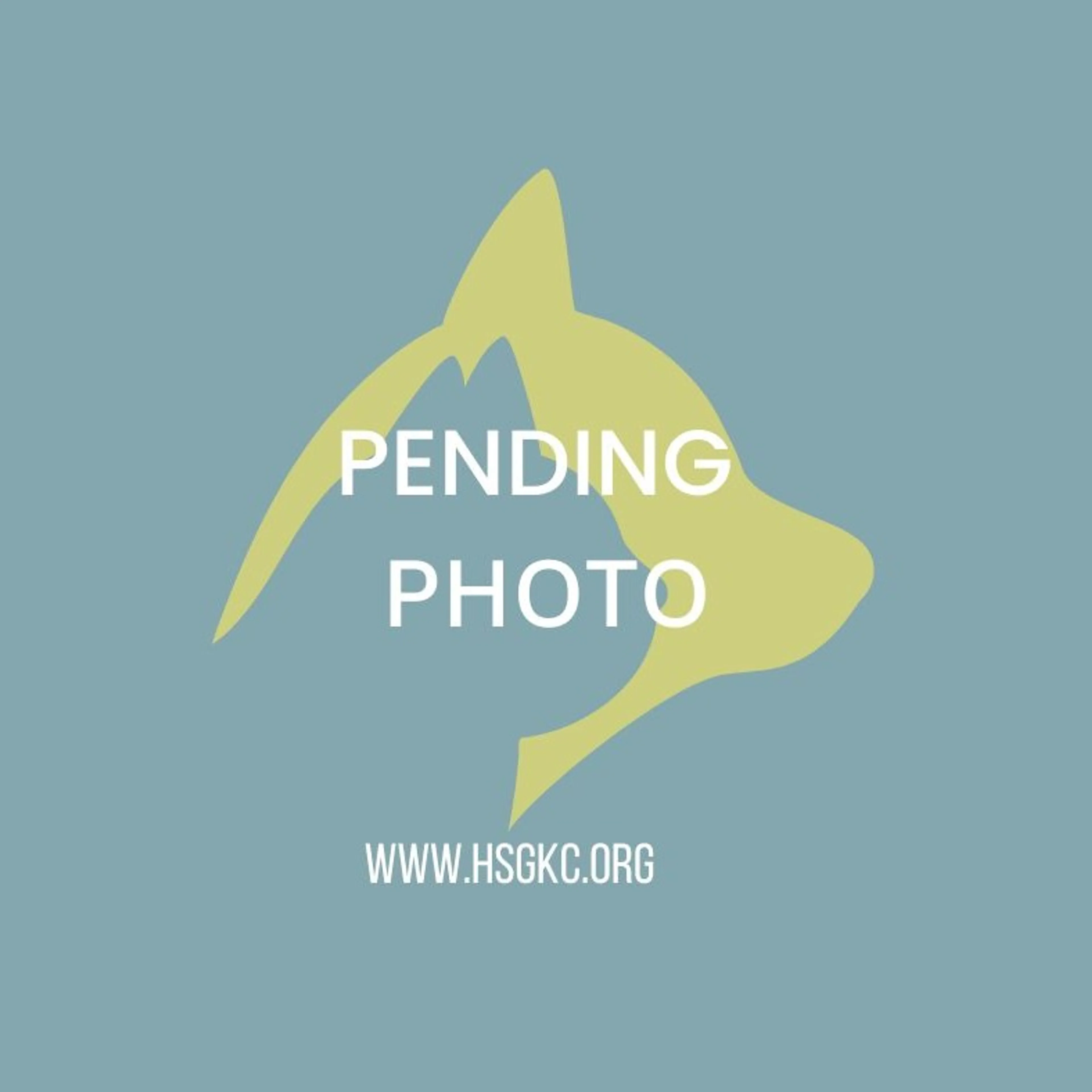 cdn image