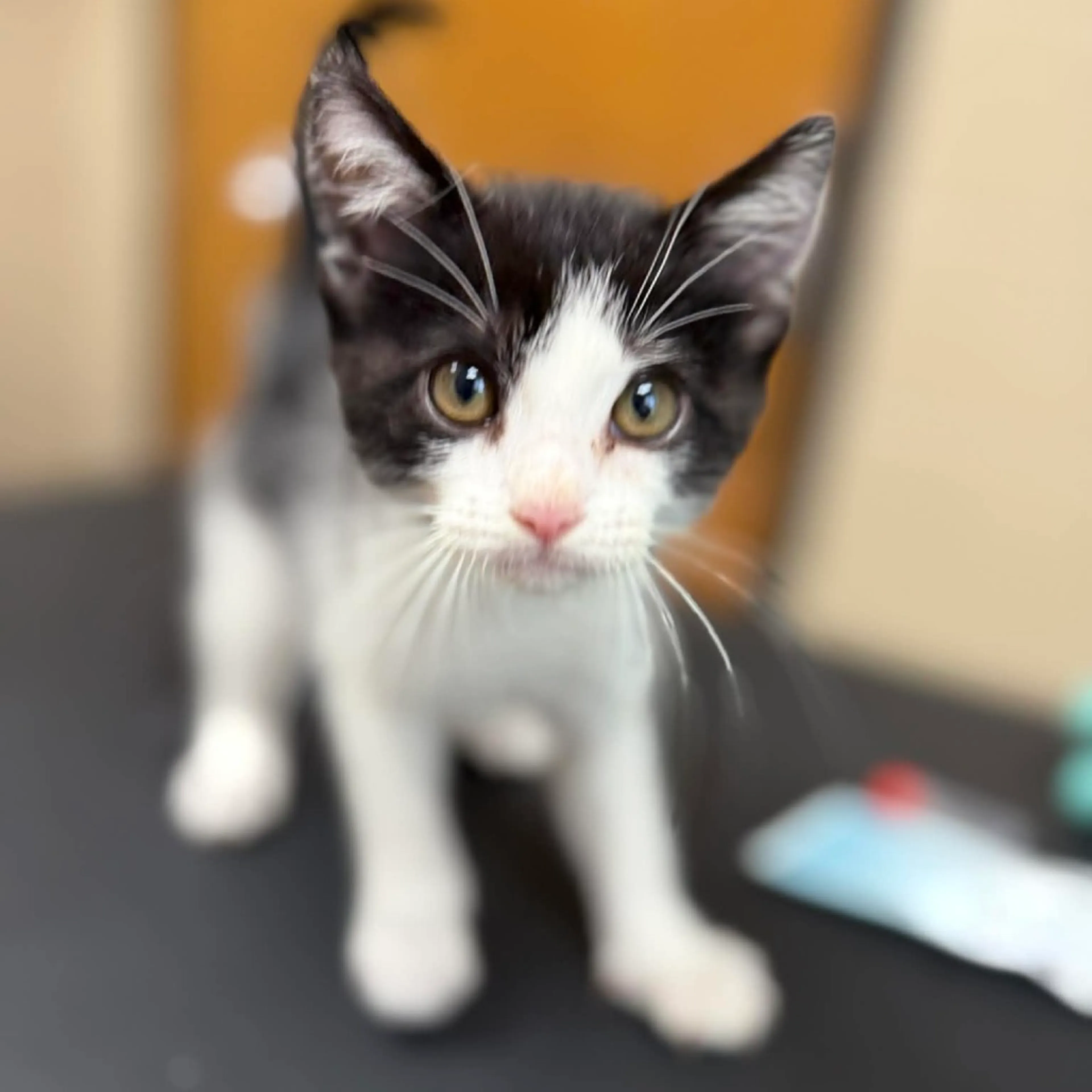 -2