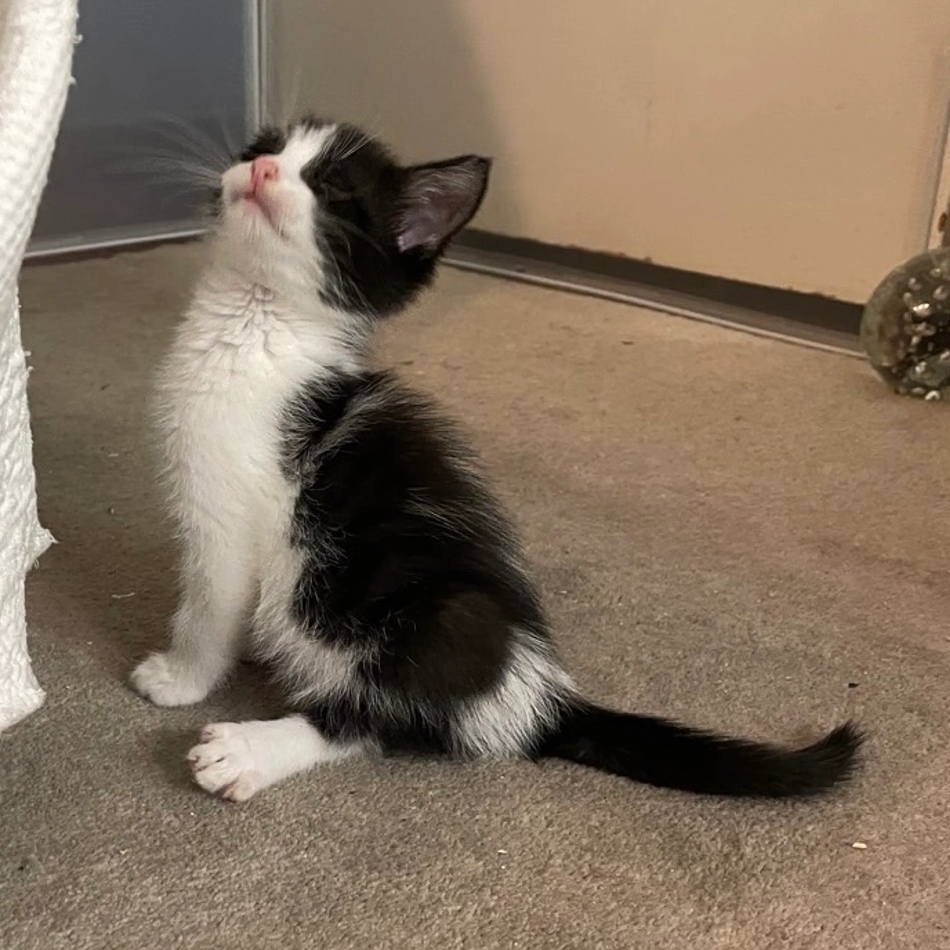 -0