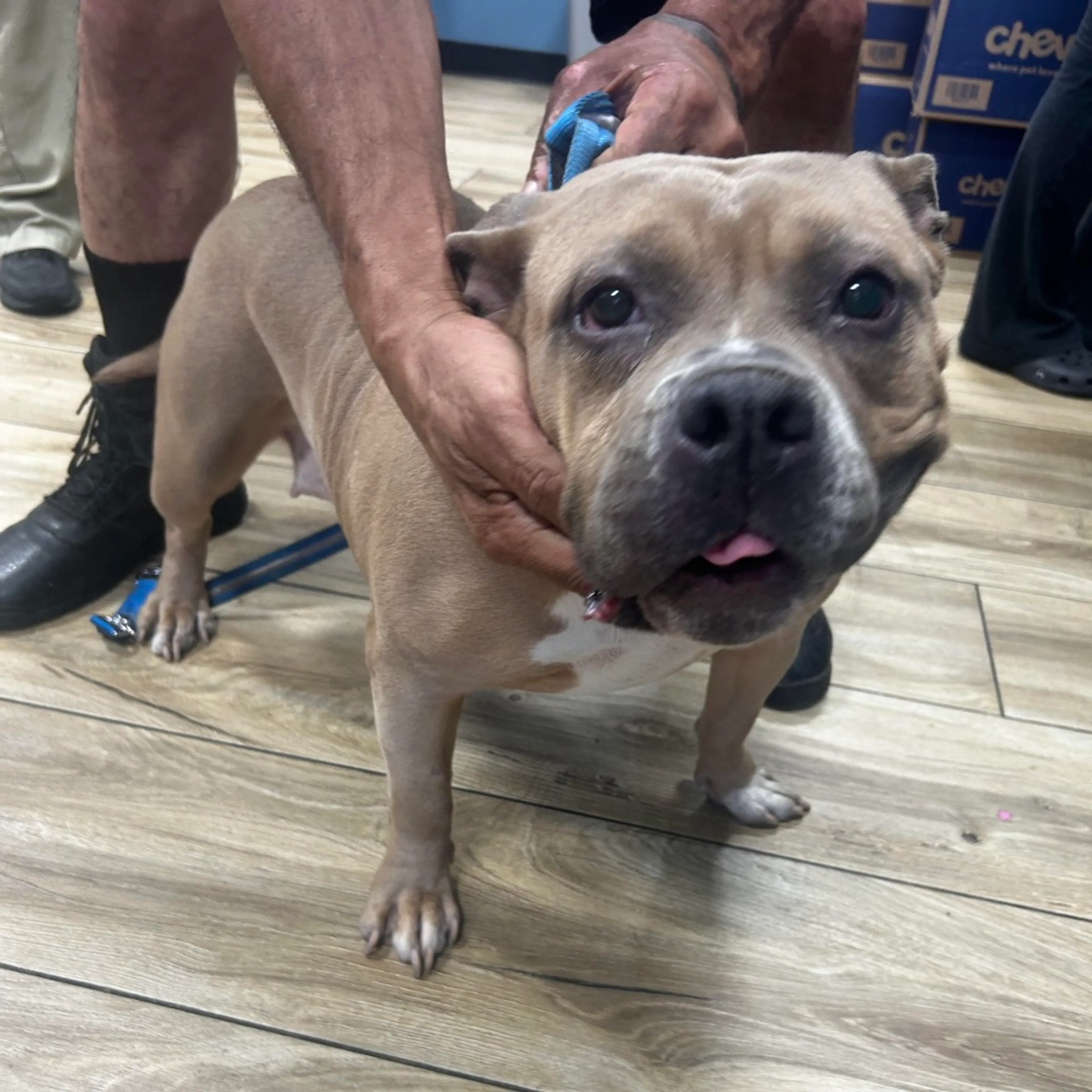 -1