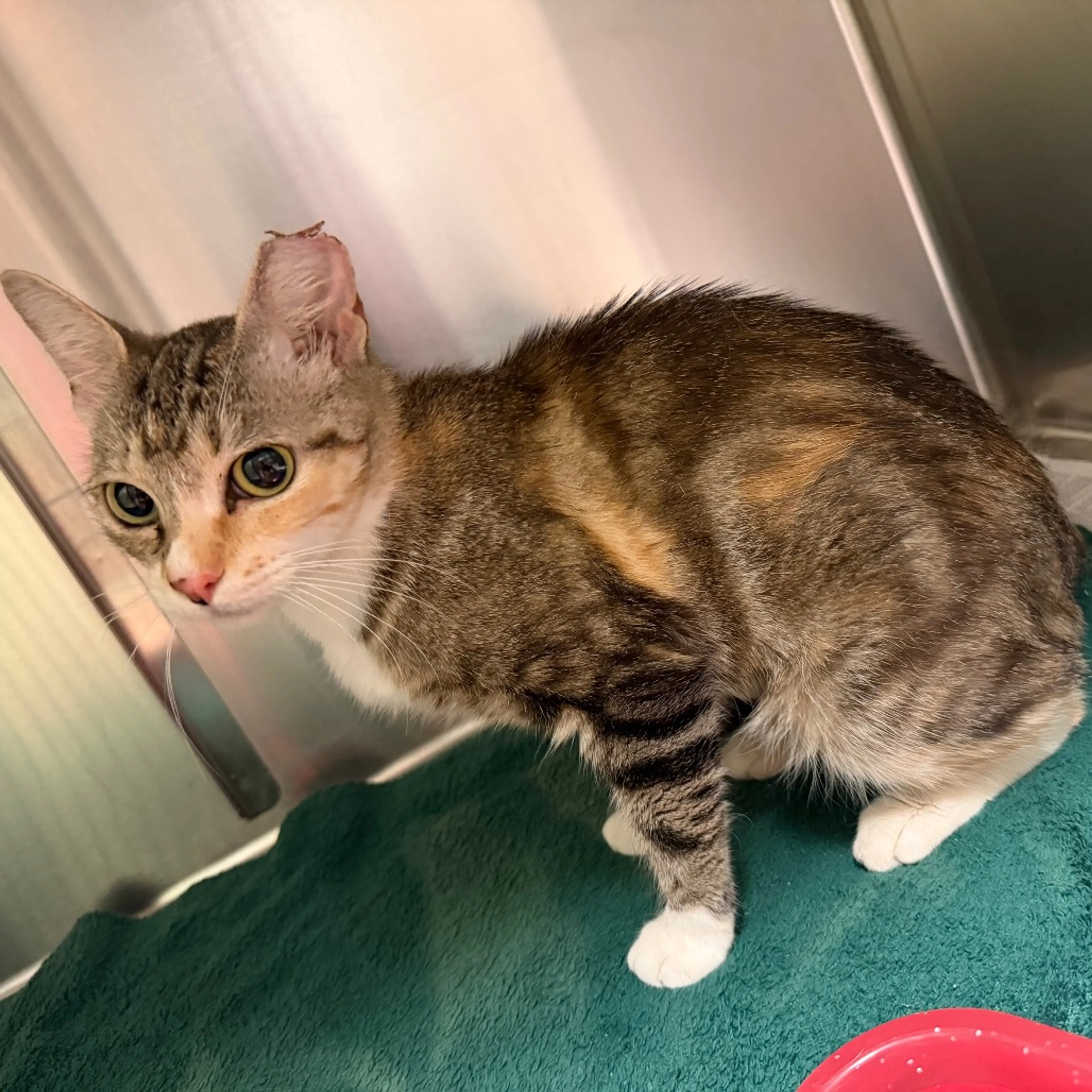 -2