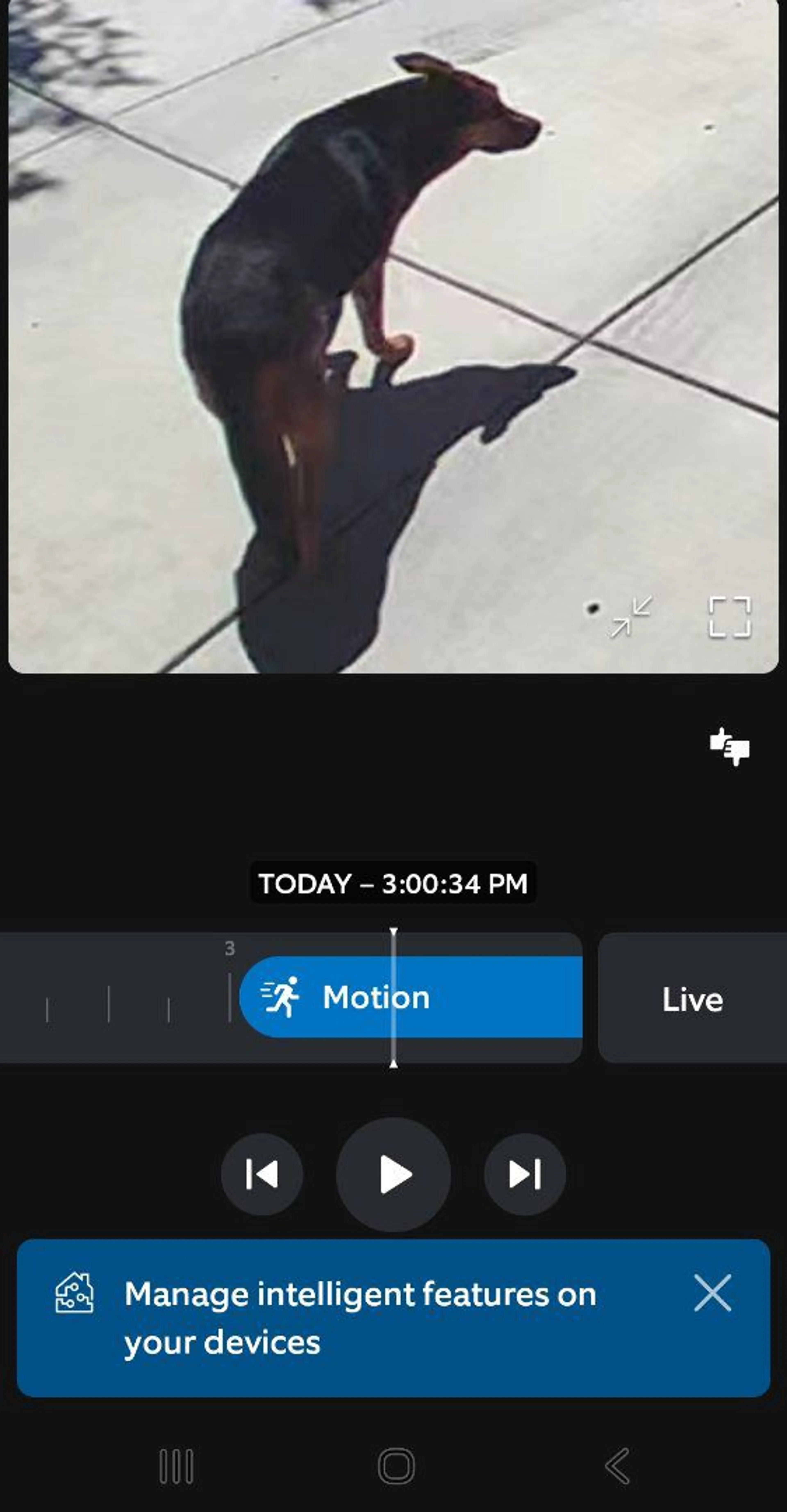 cdn image