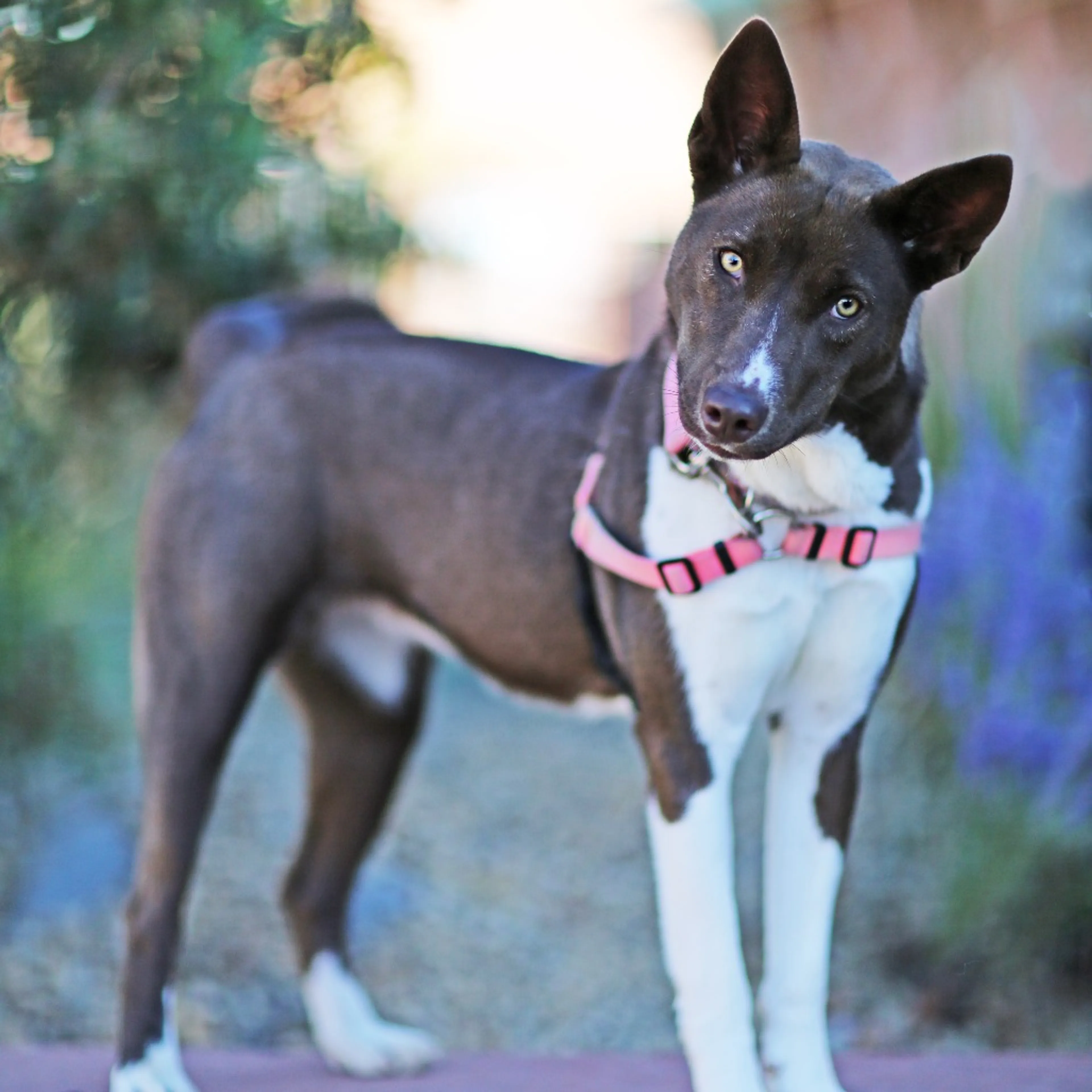 -1