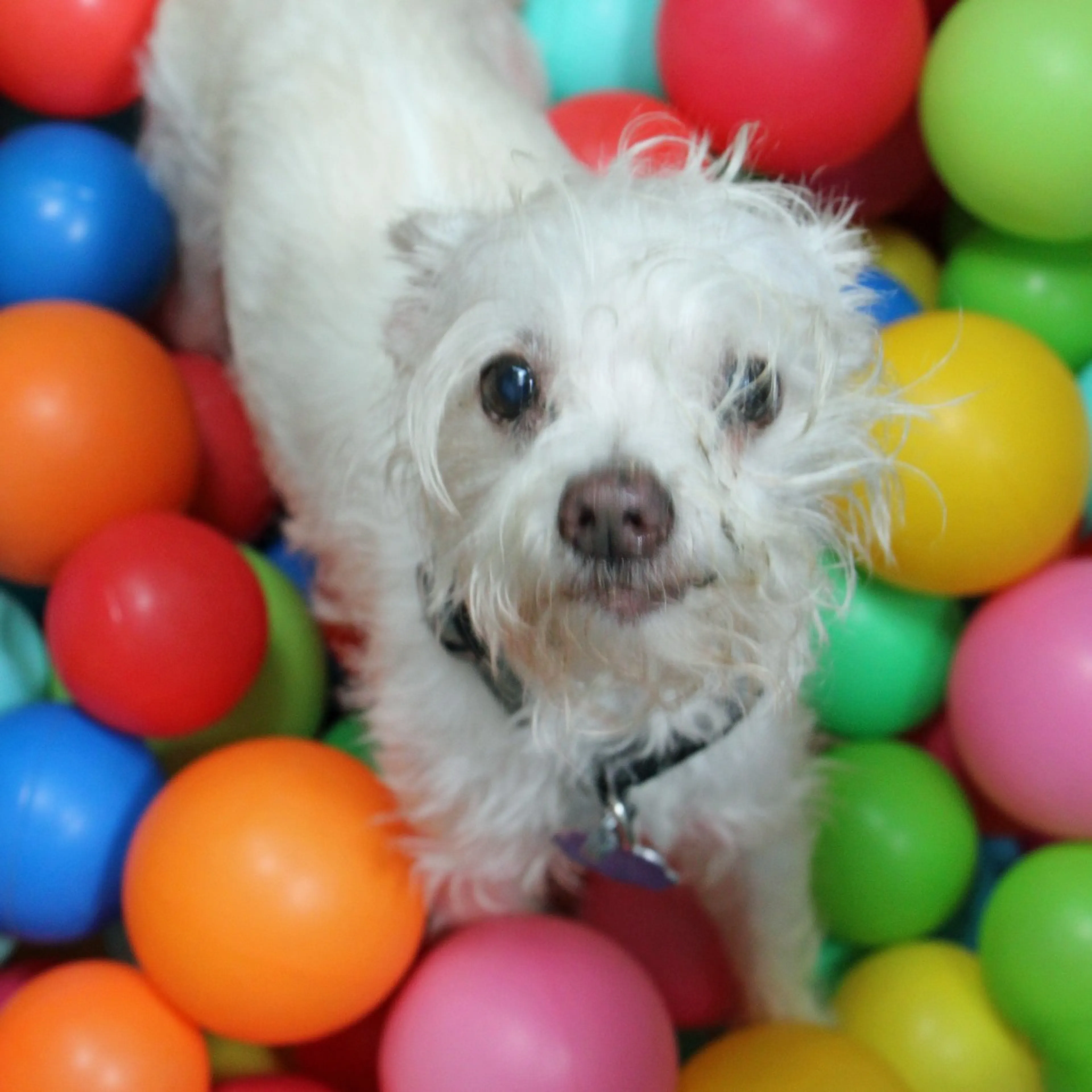 -1
