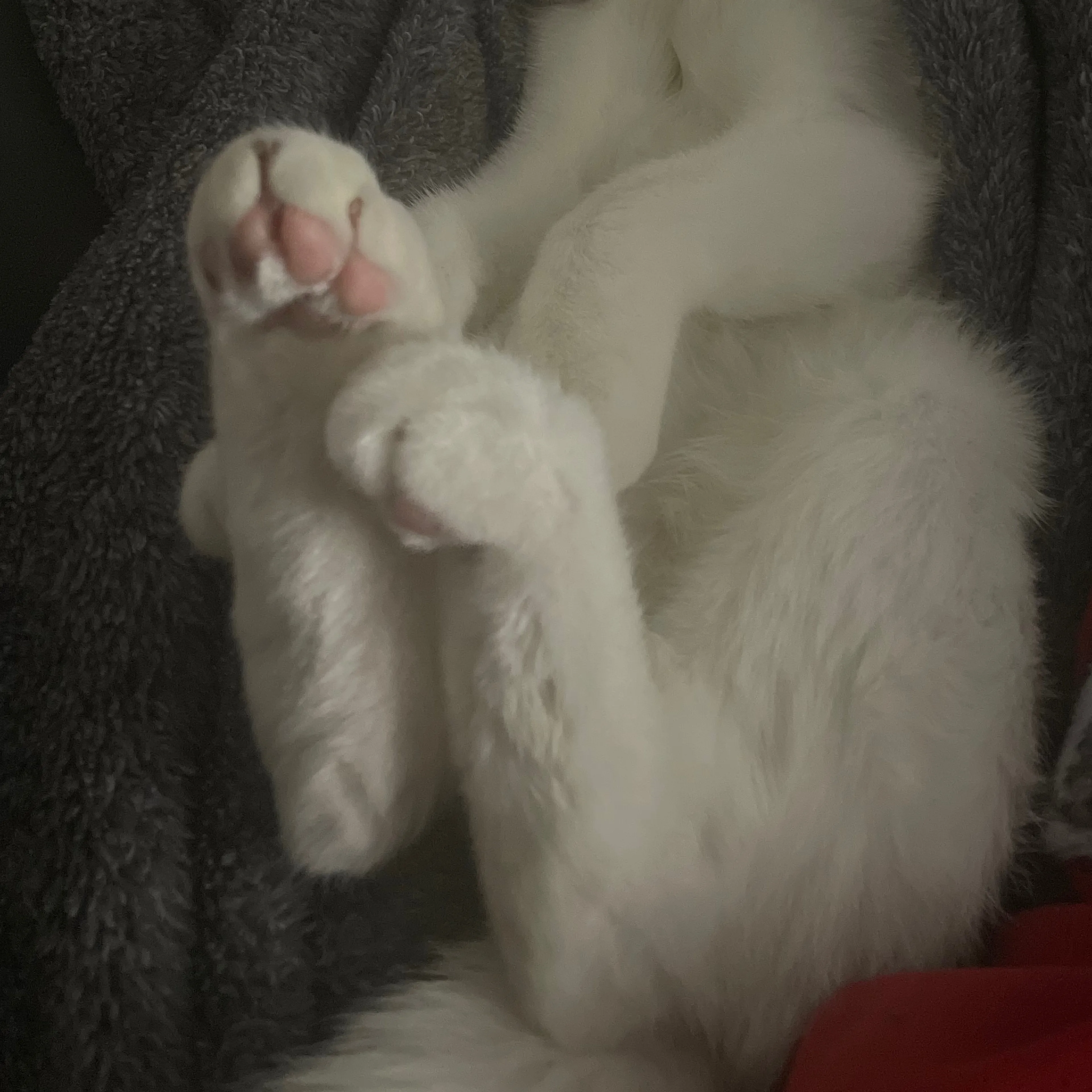 -3