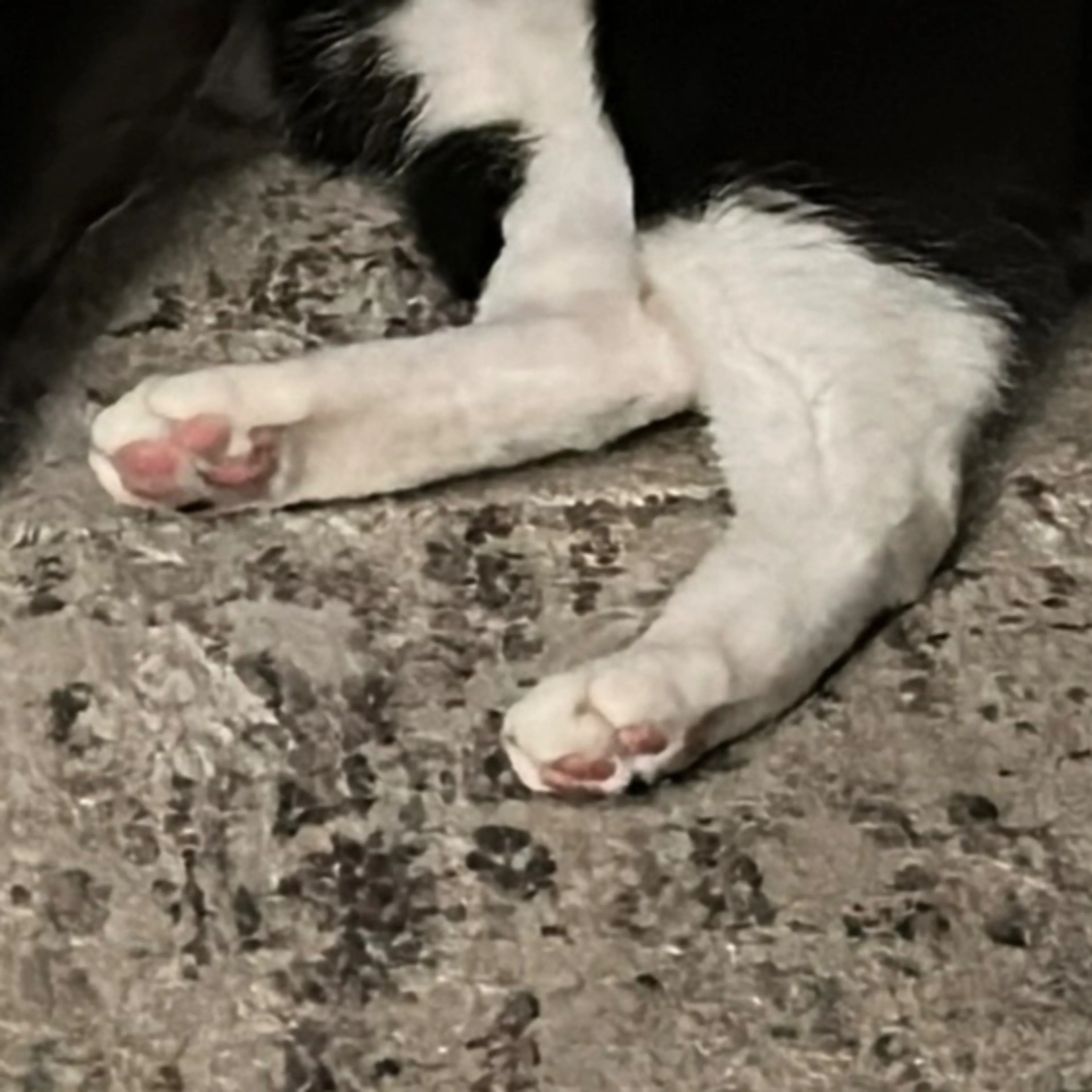 -3