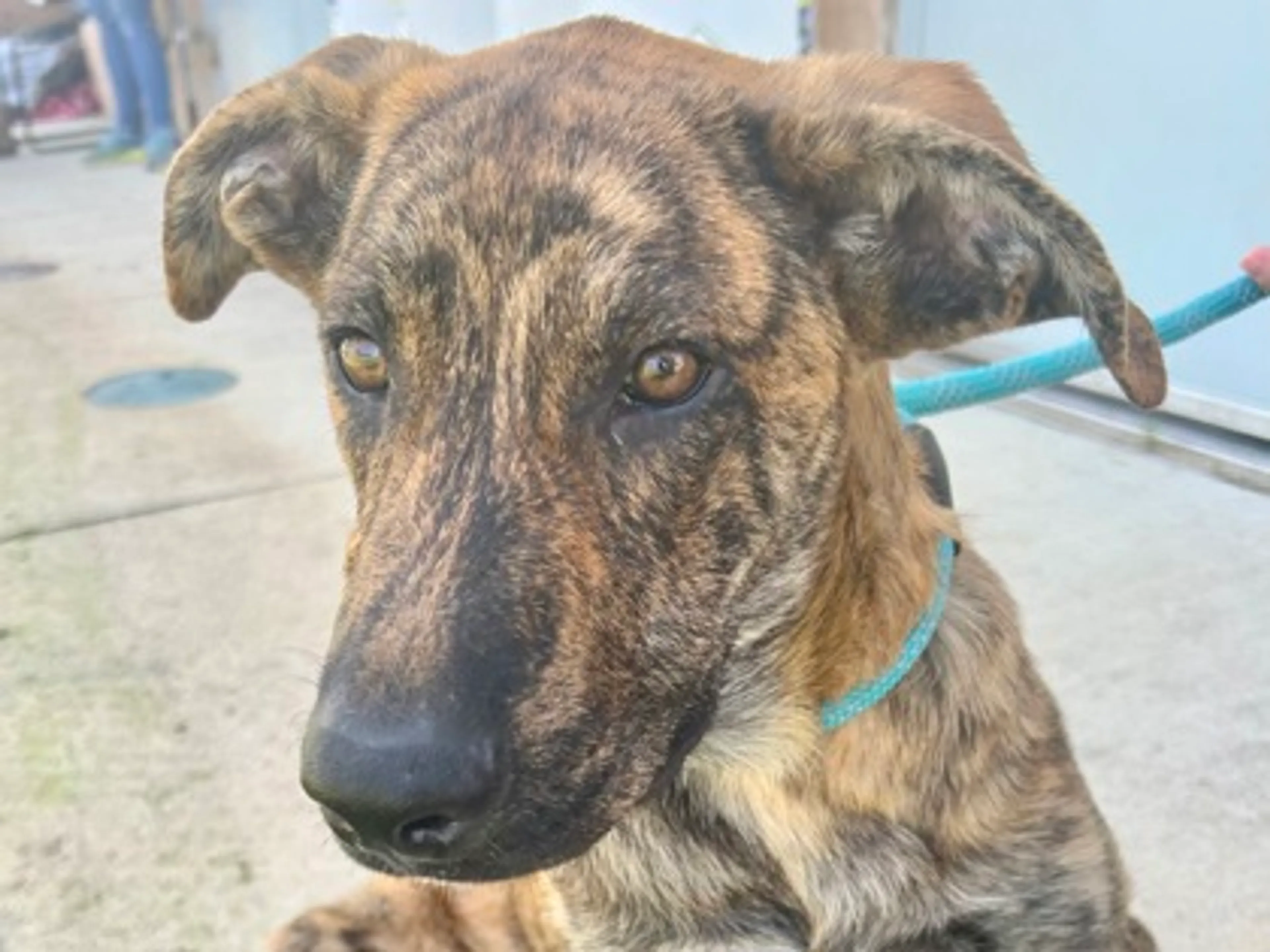-1