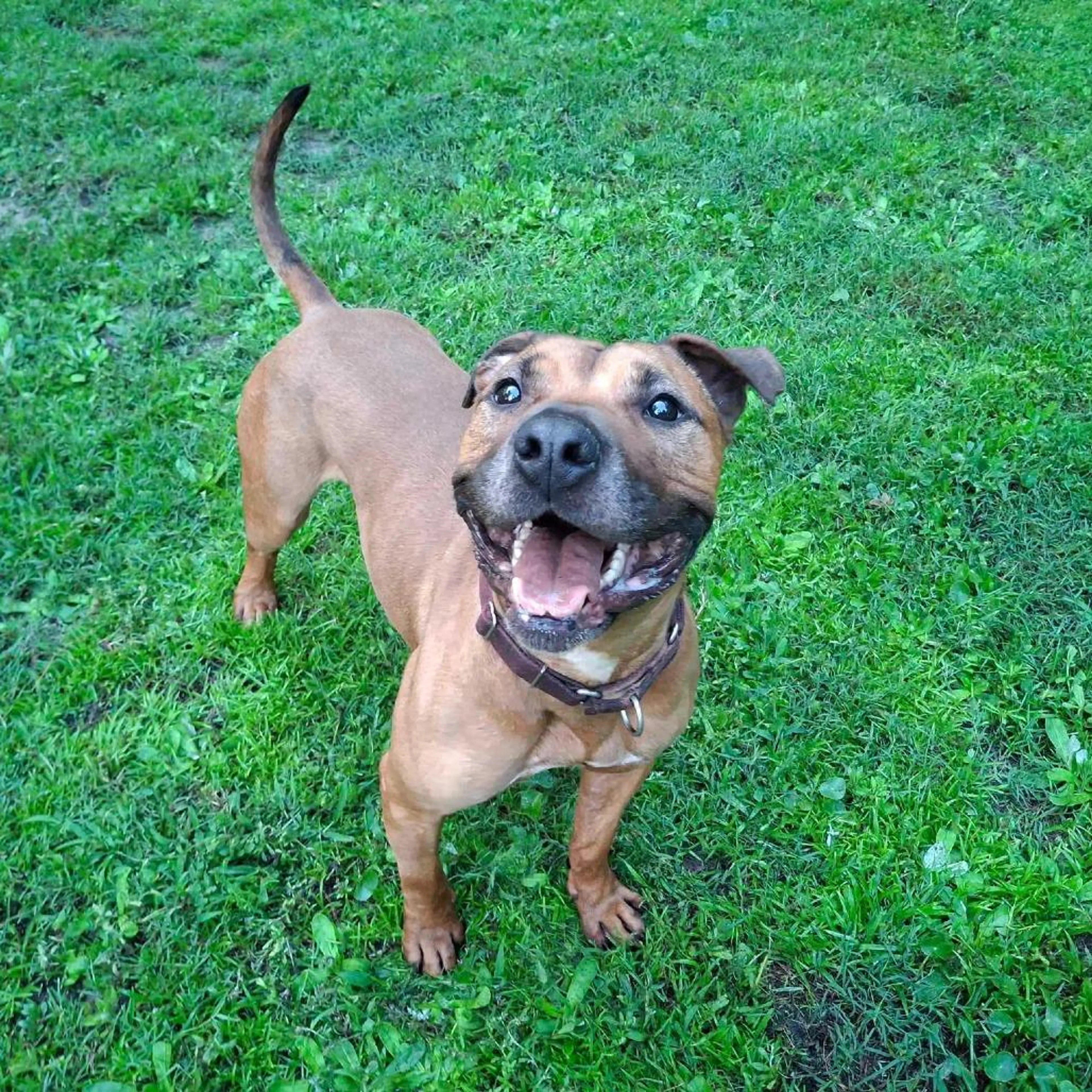 -3