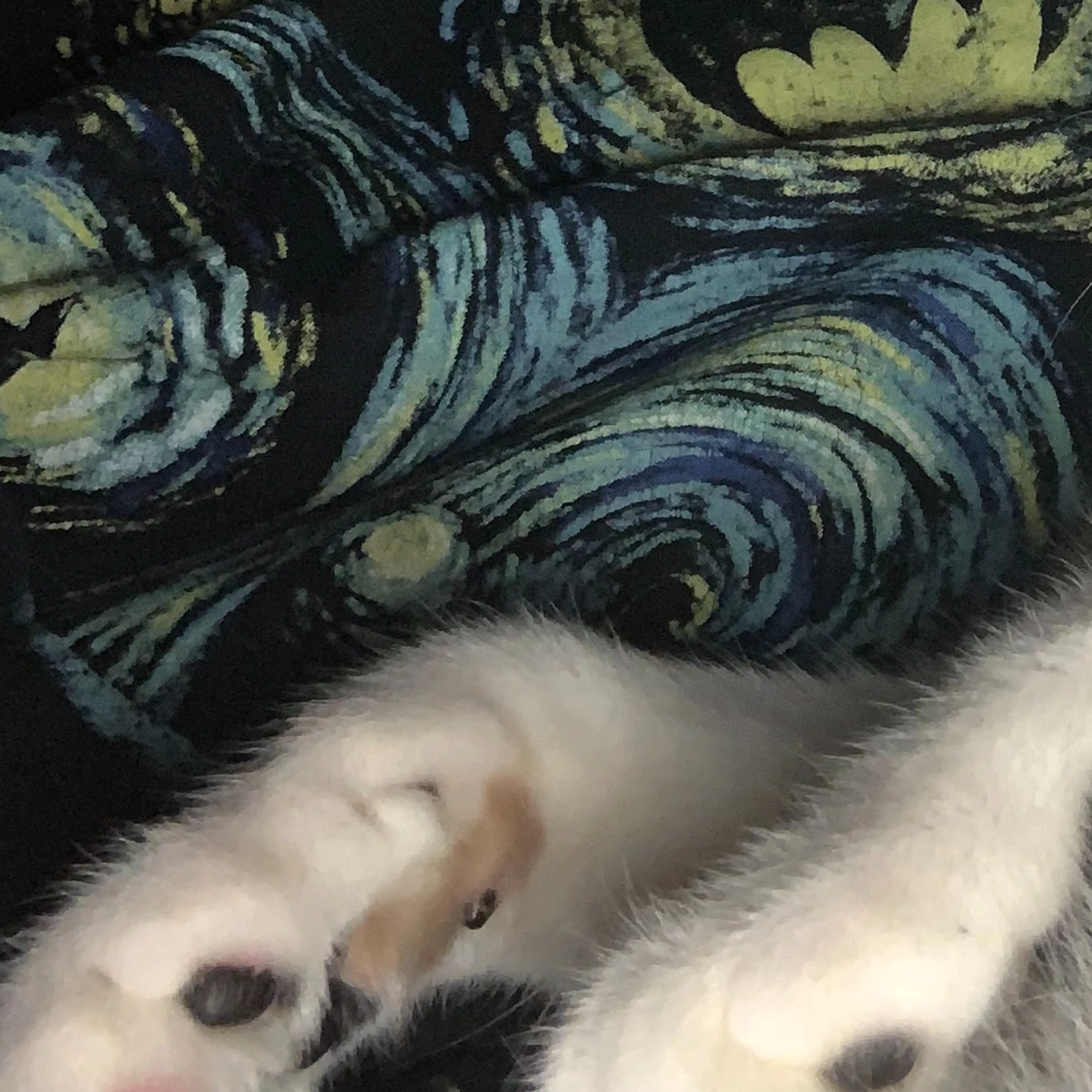 -3