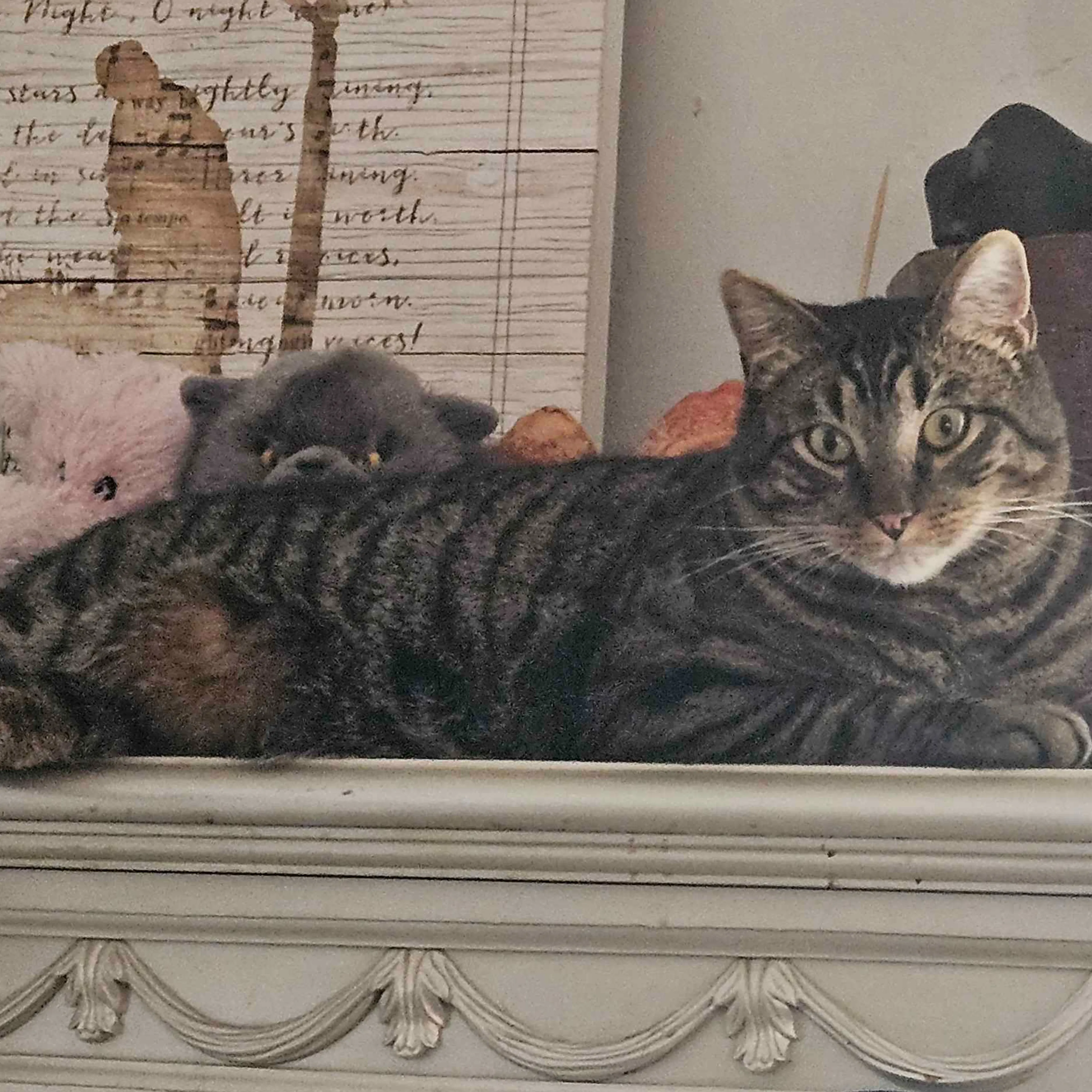 -3