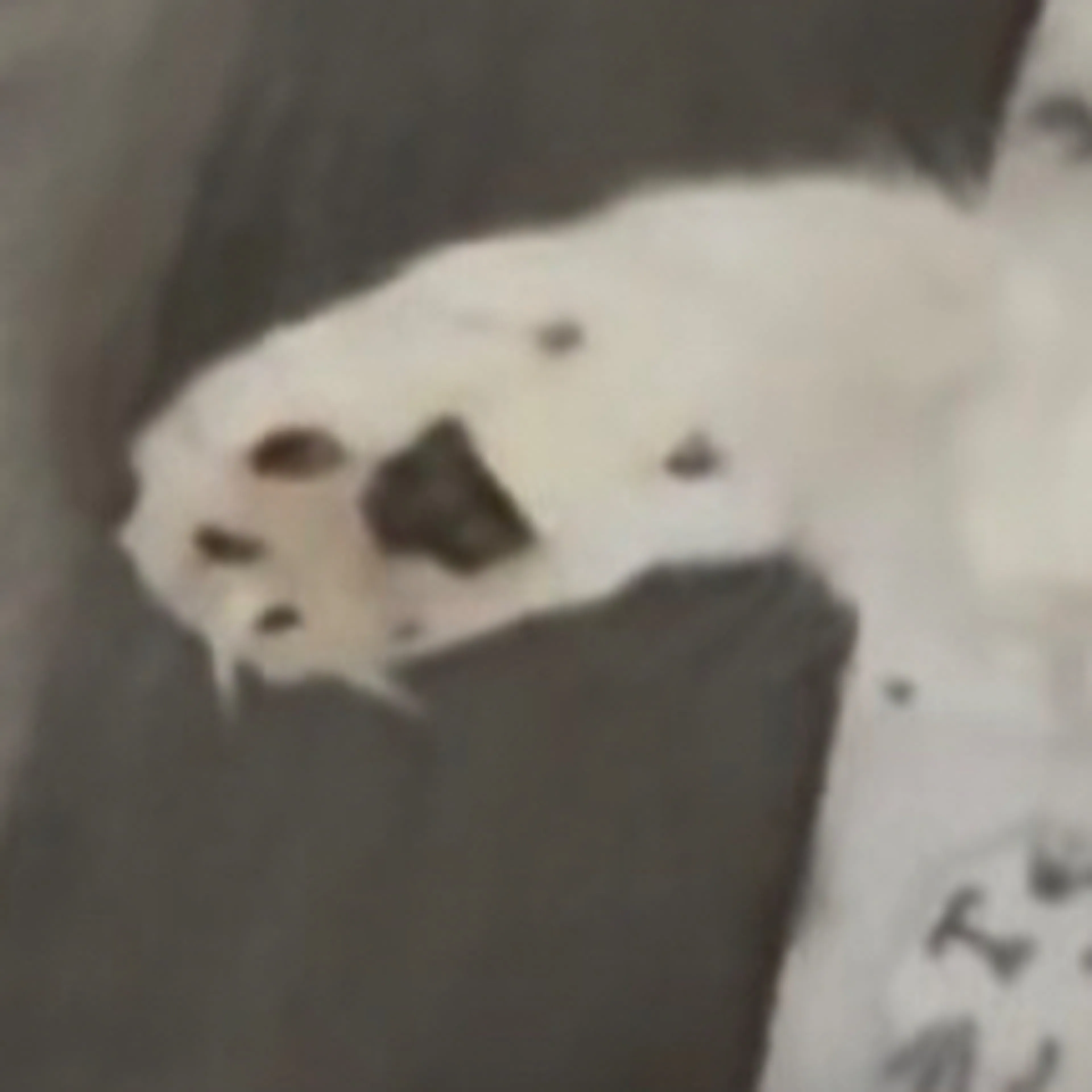 -3