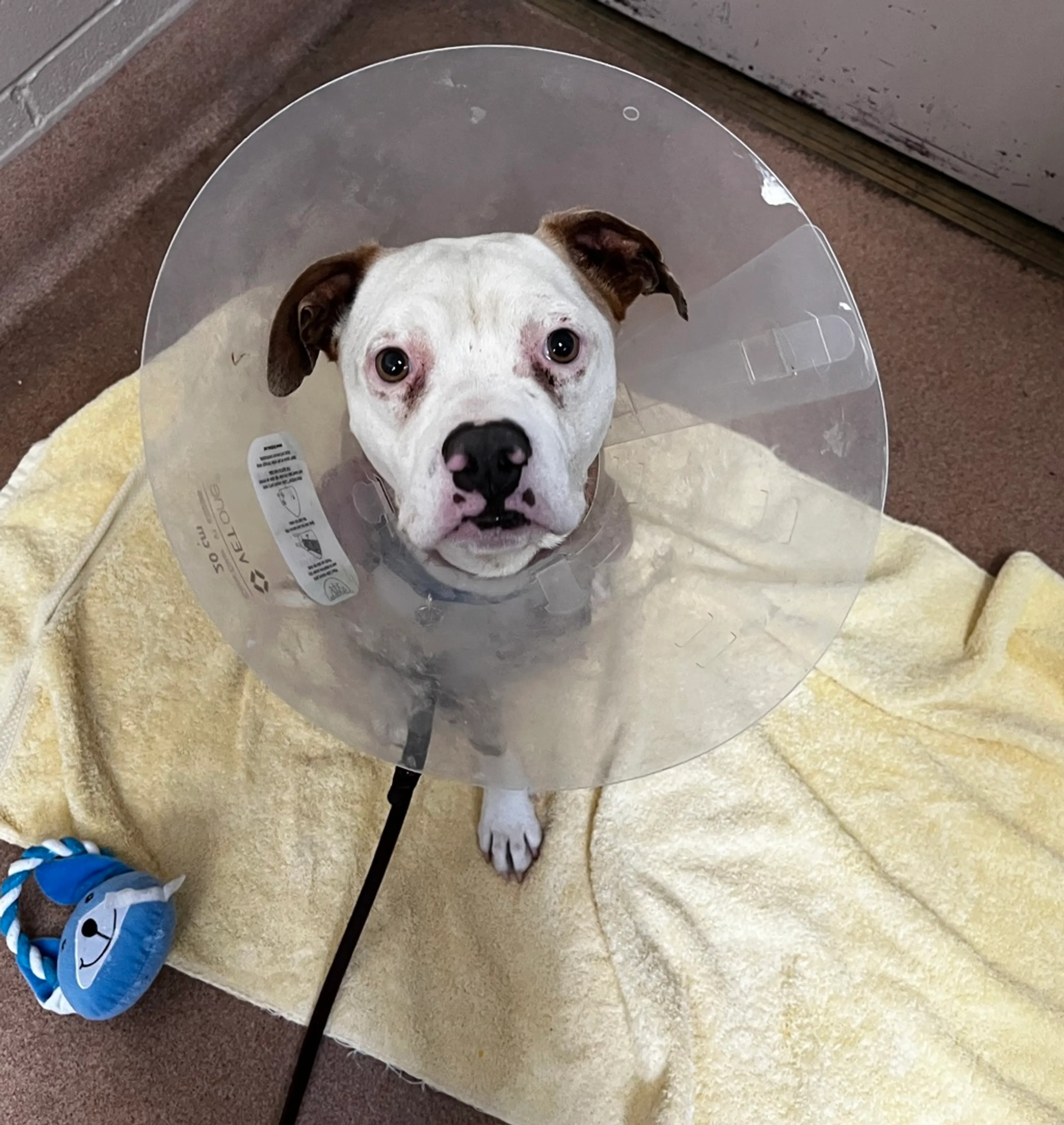 -1