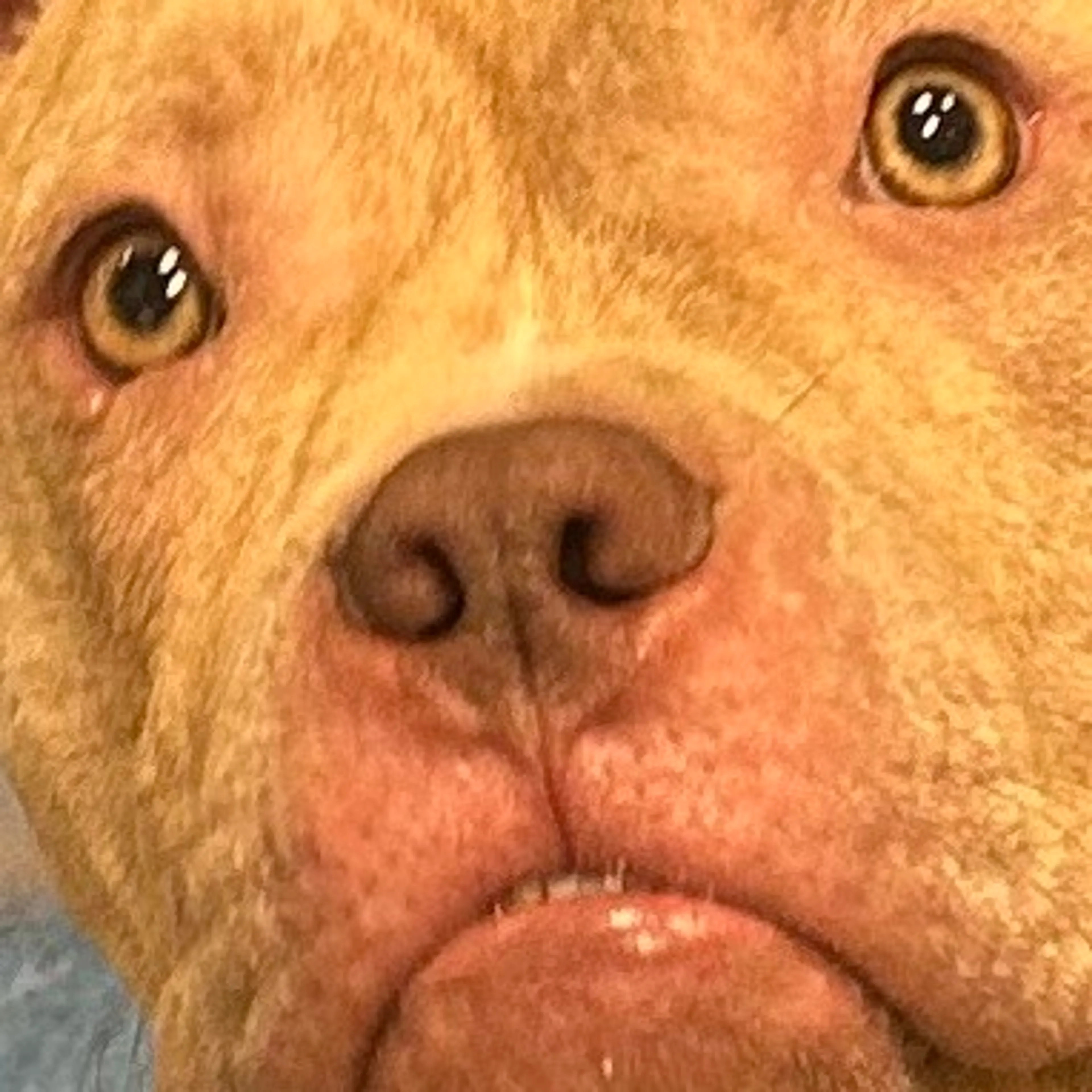 -5