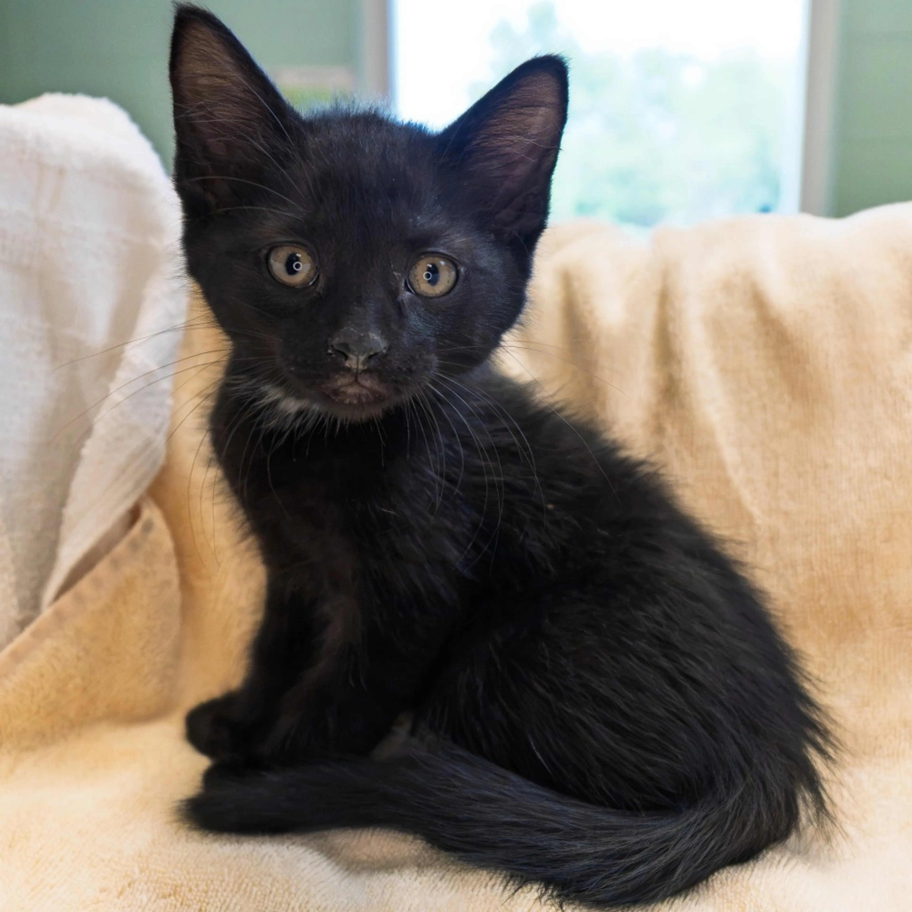 -0