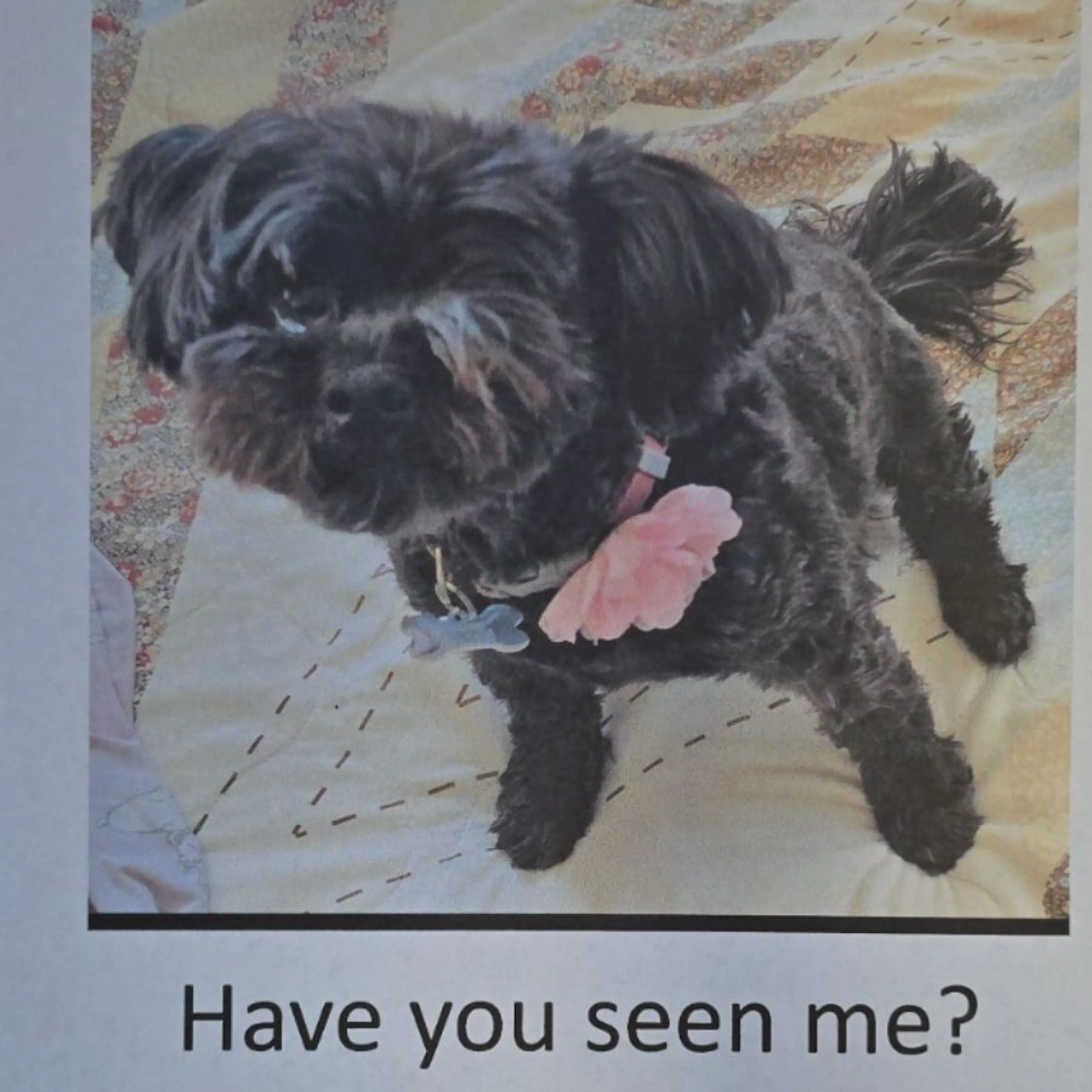 cdn image