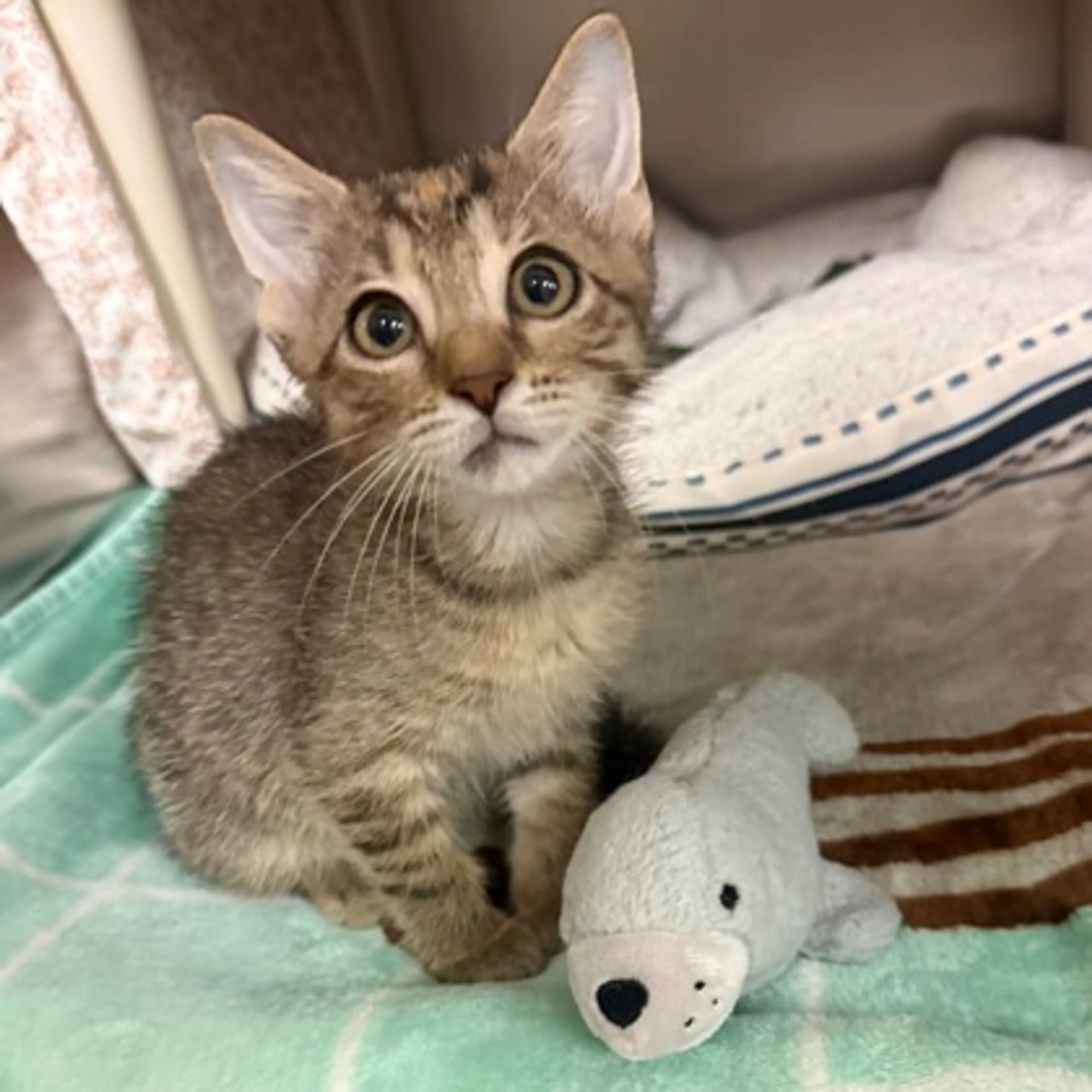 -2