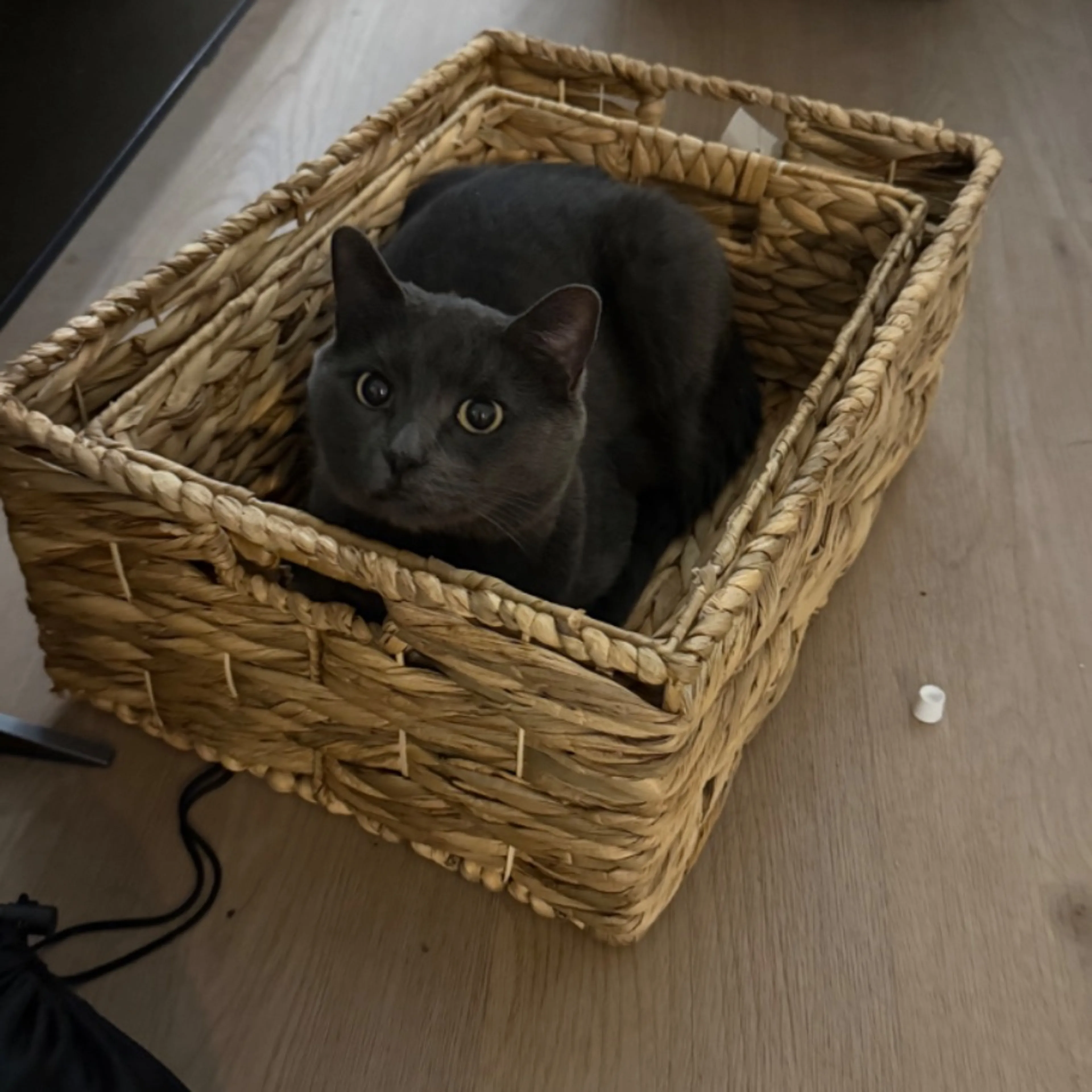 cdn image