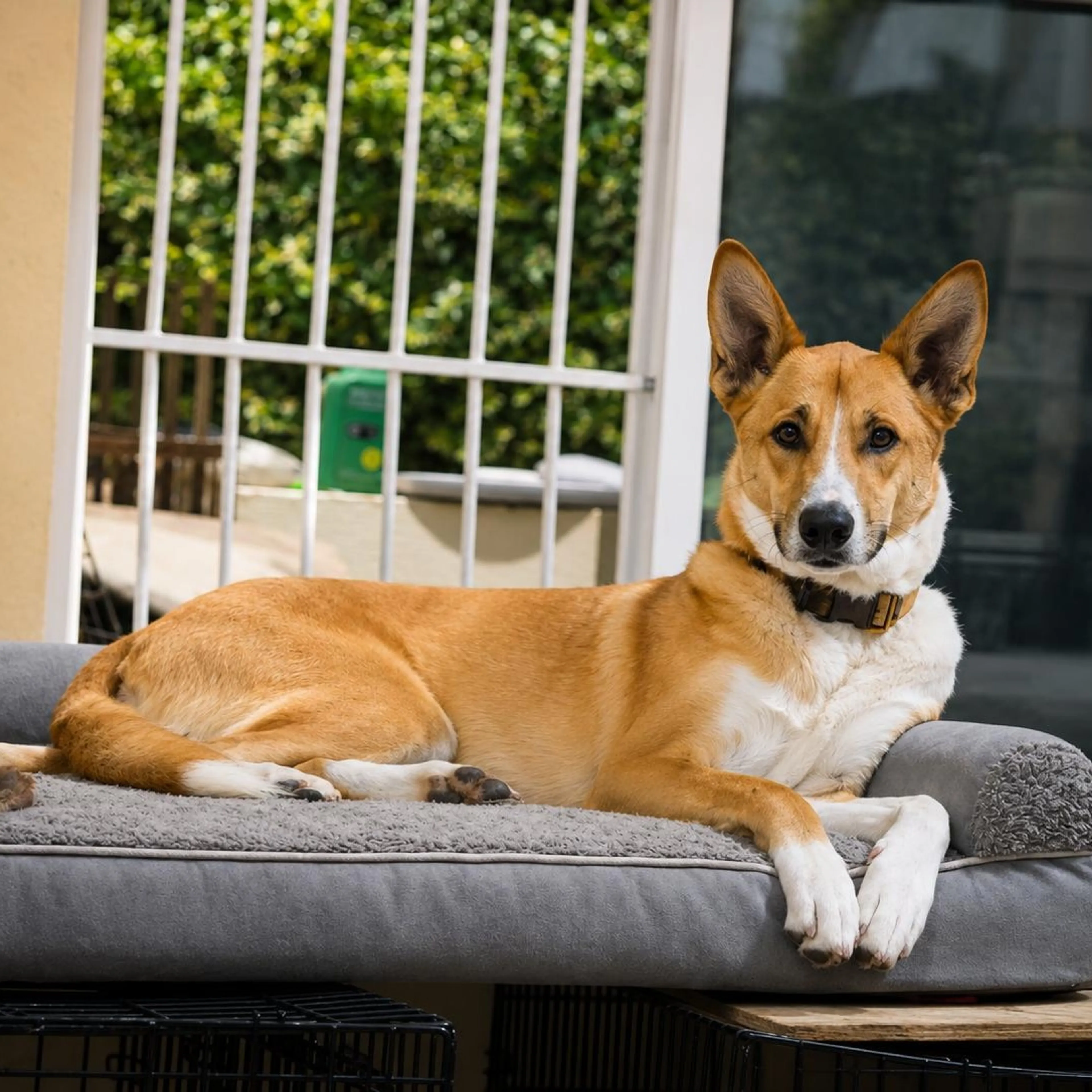 -2