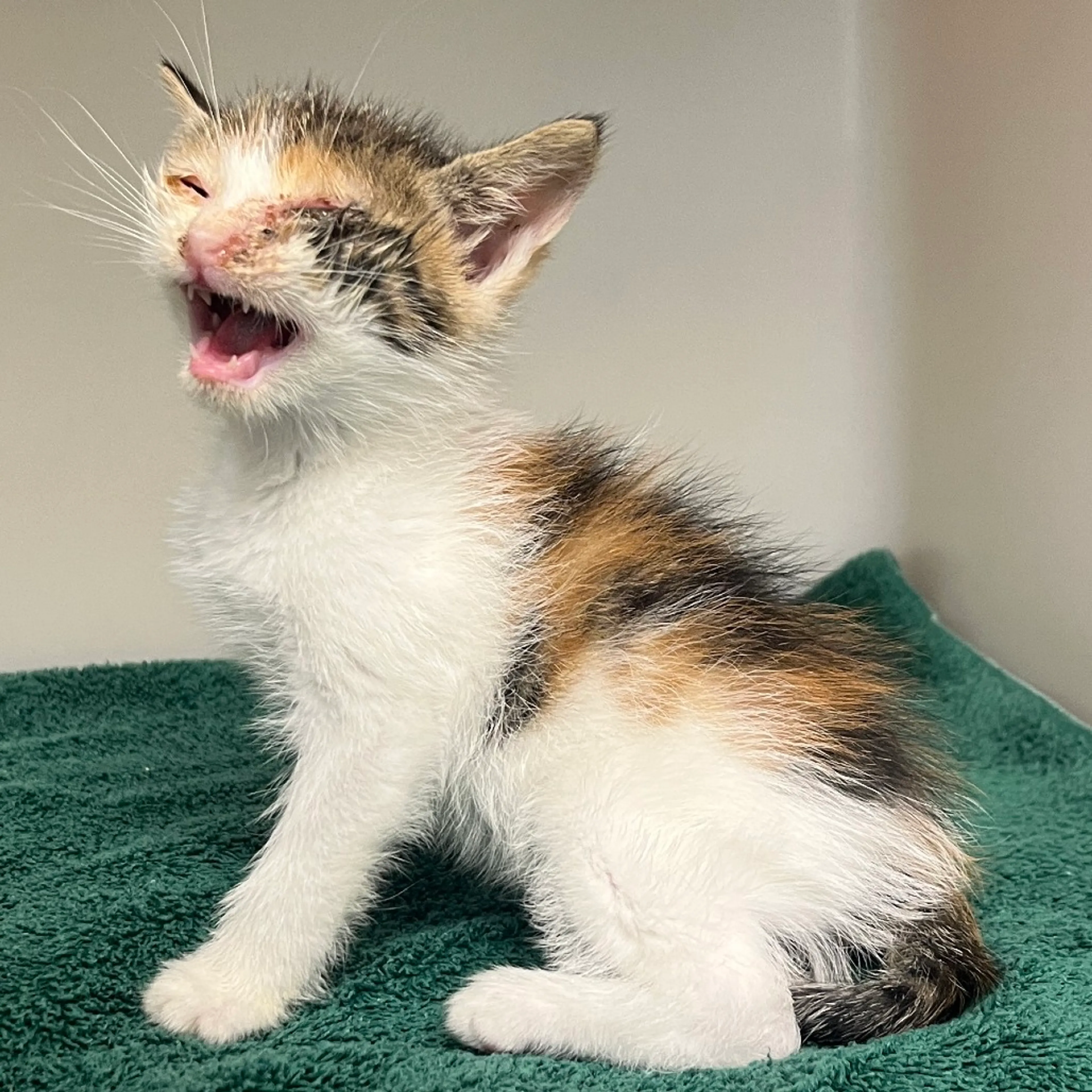-1