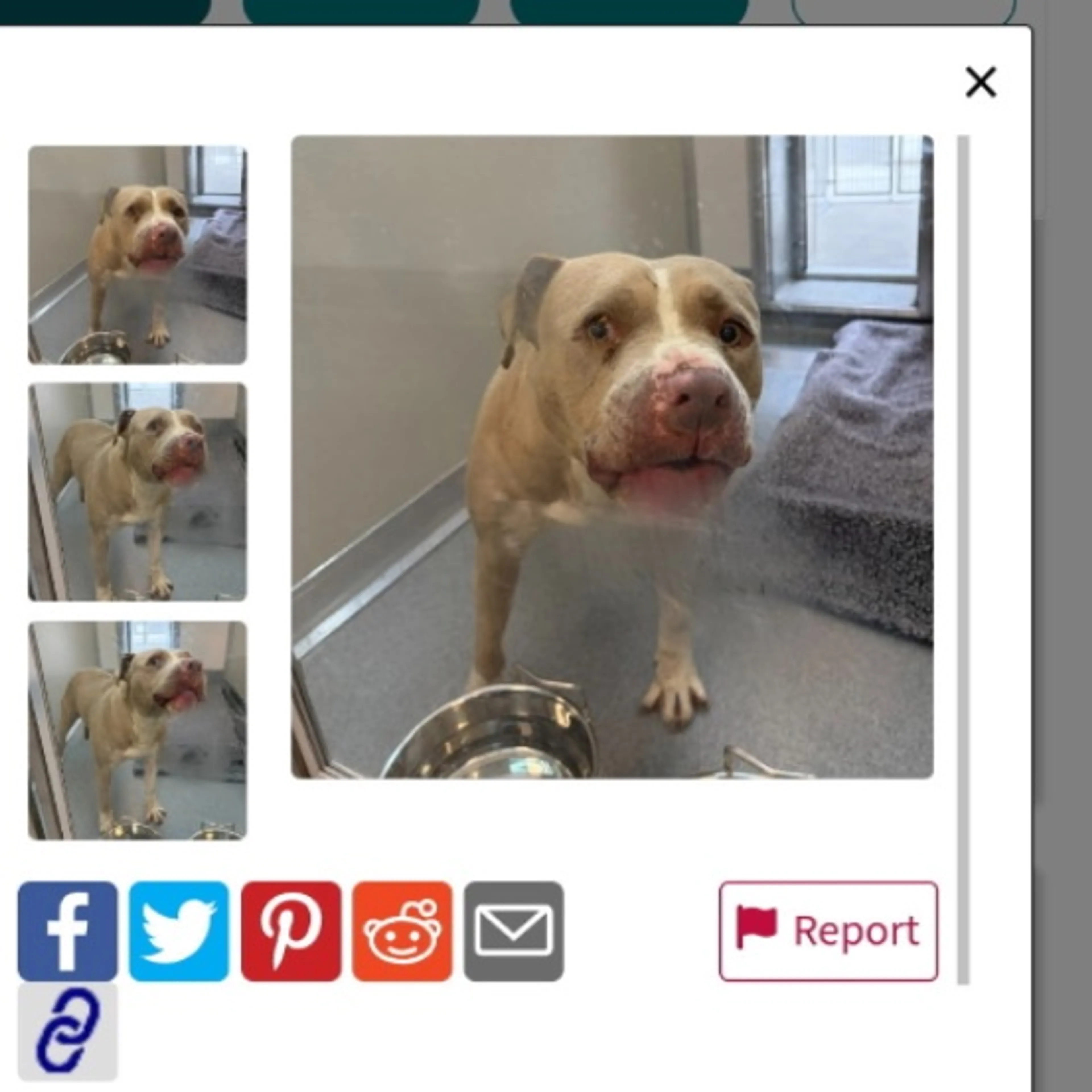 cdn image