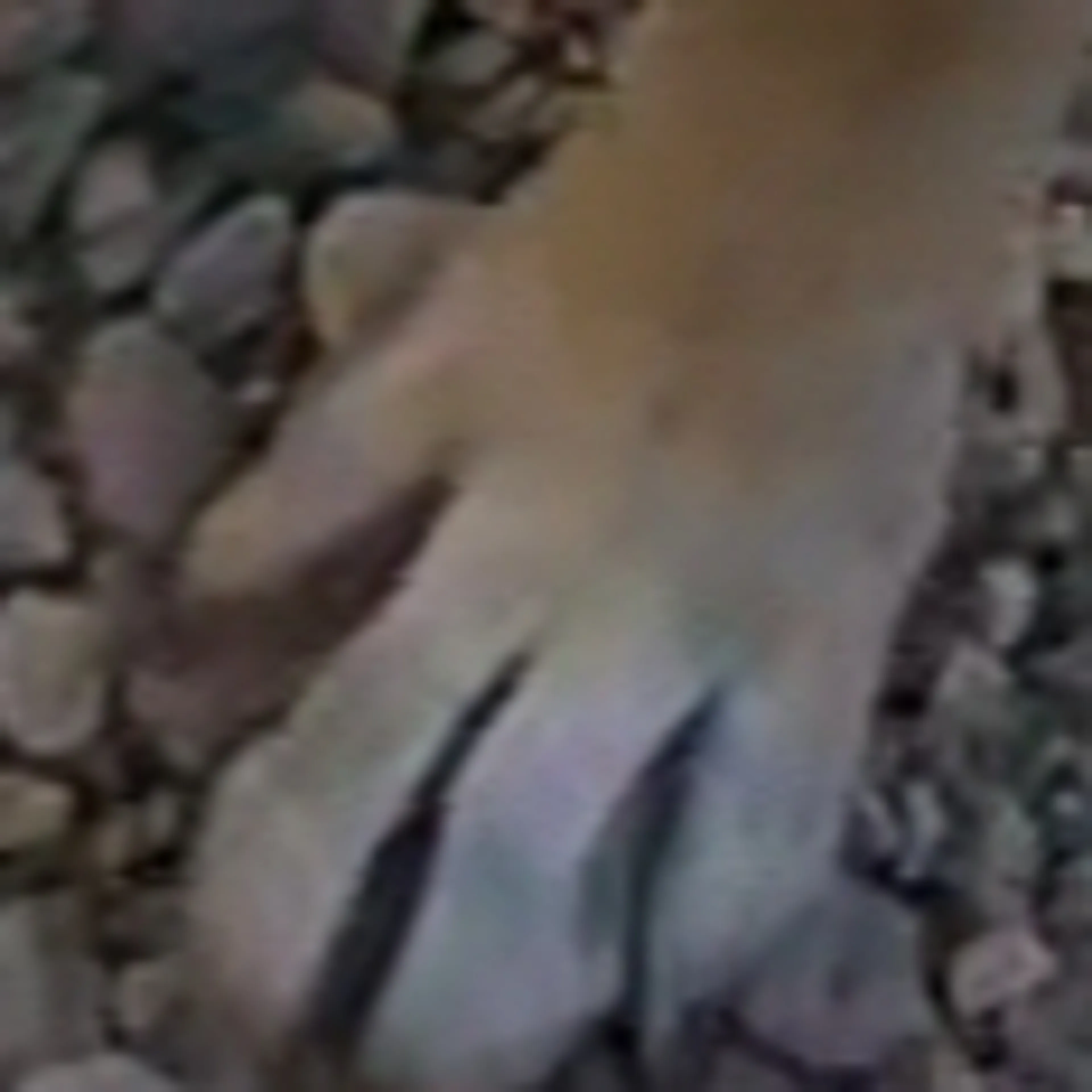 -3