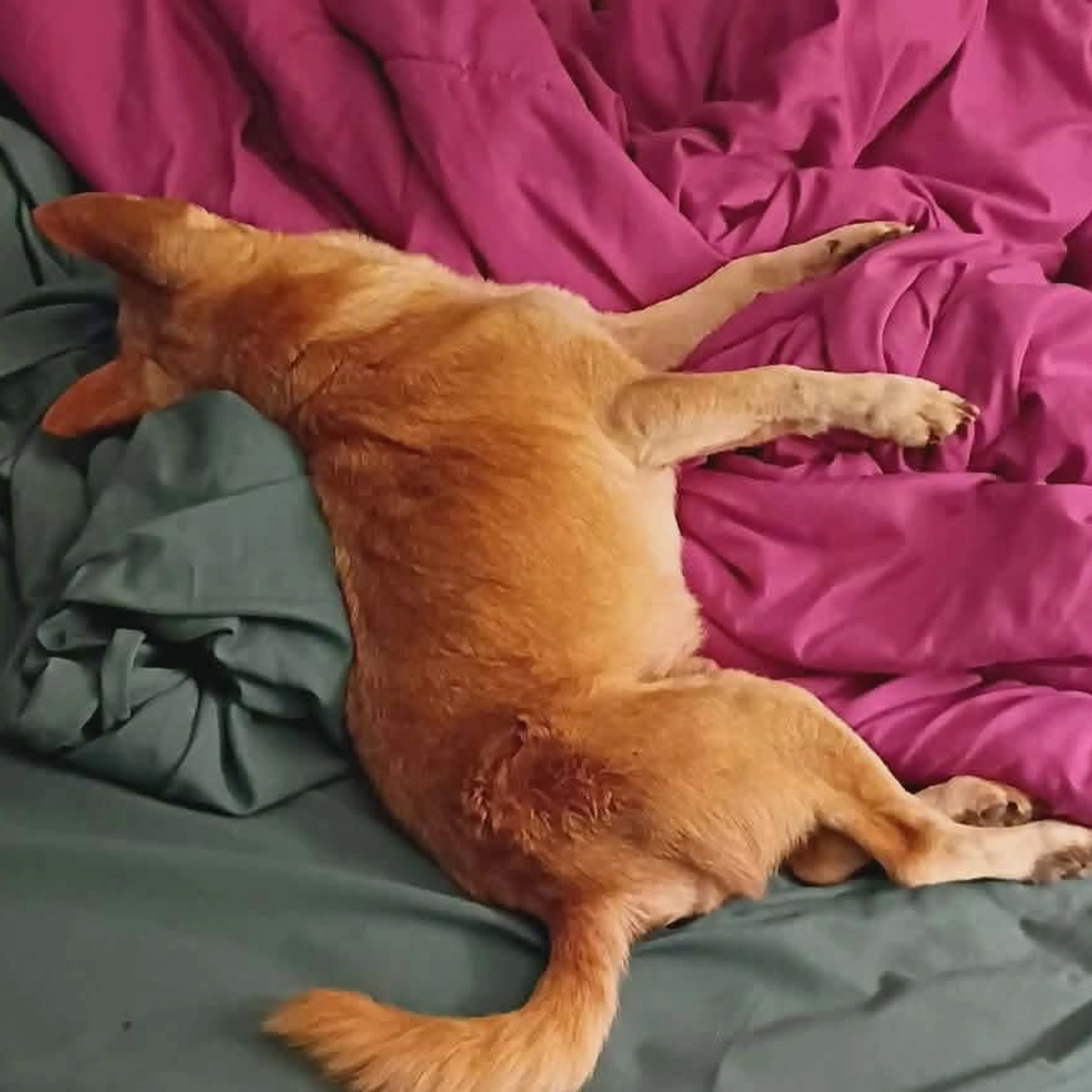 -1