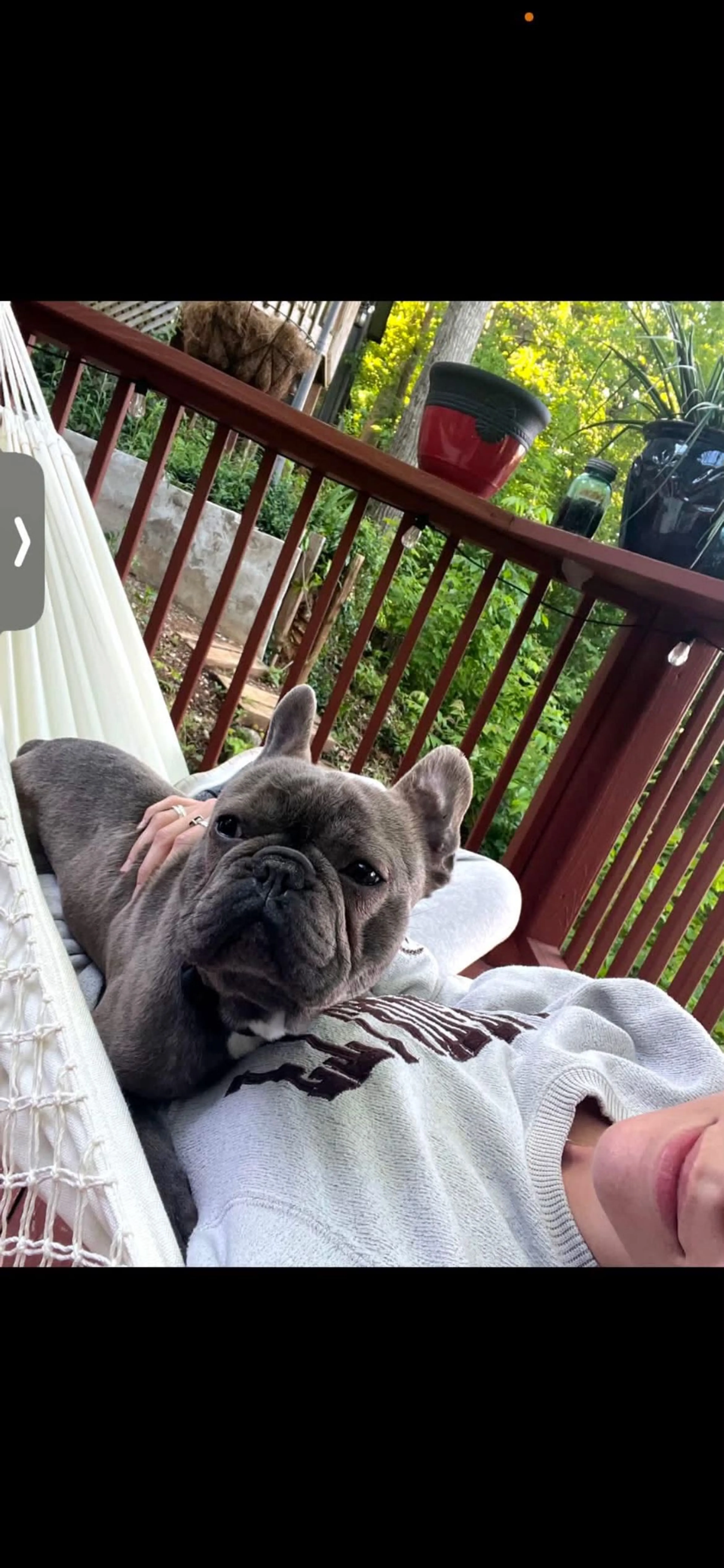 cdn image