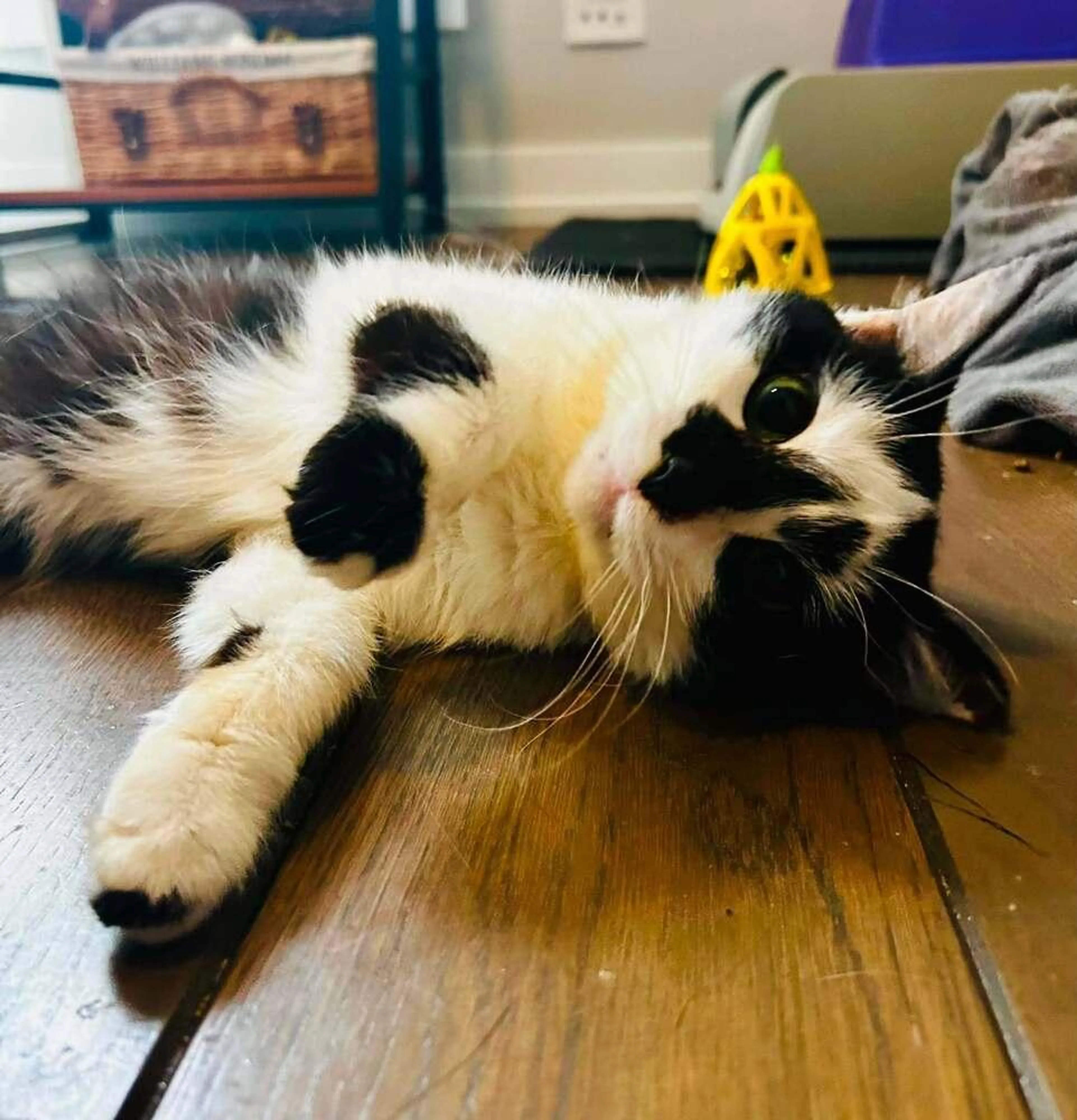 -0