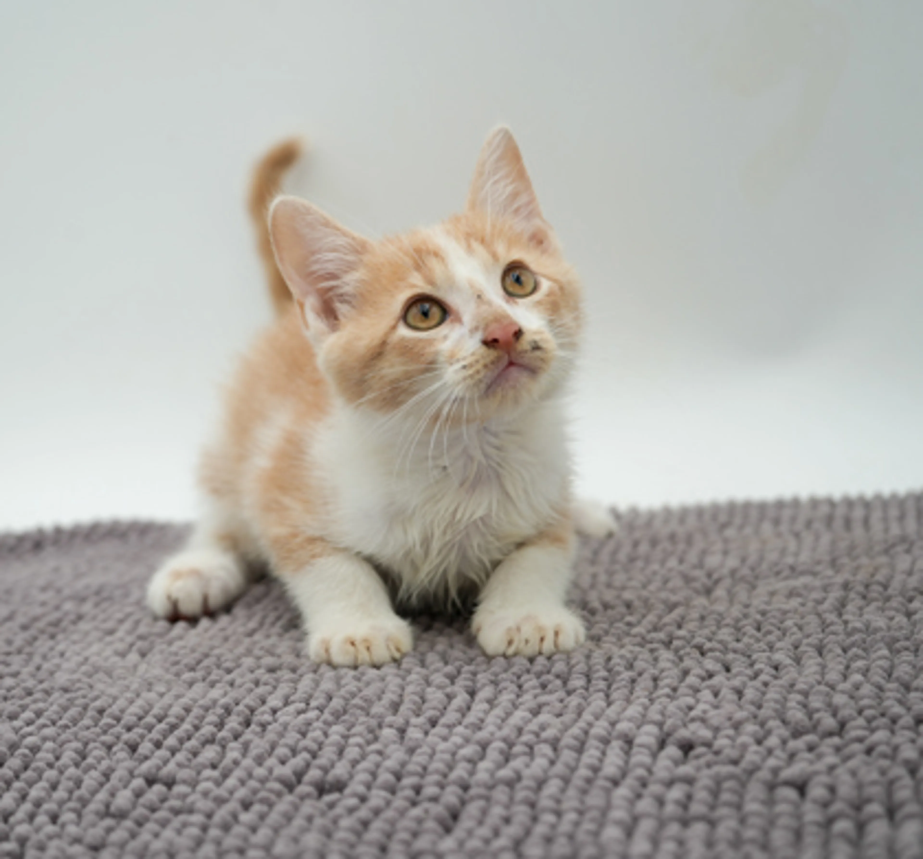 -0