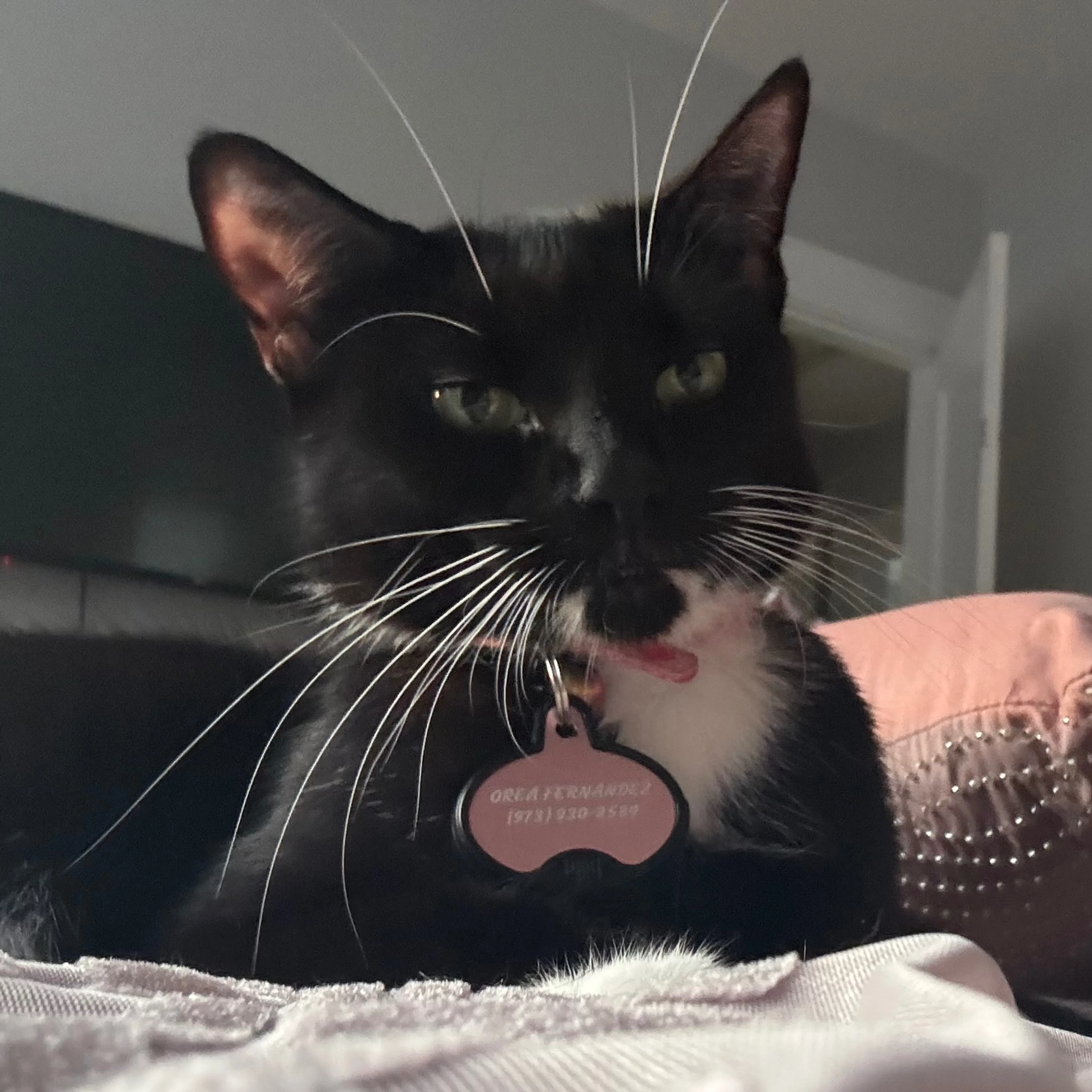 -1