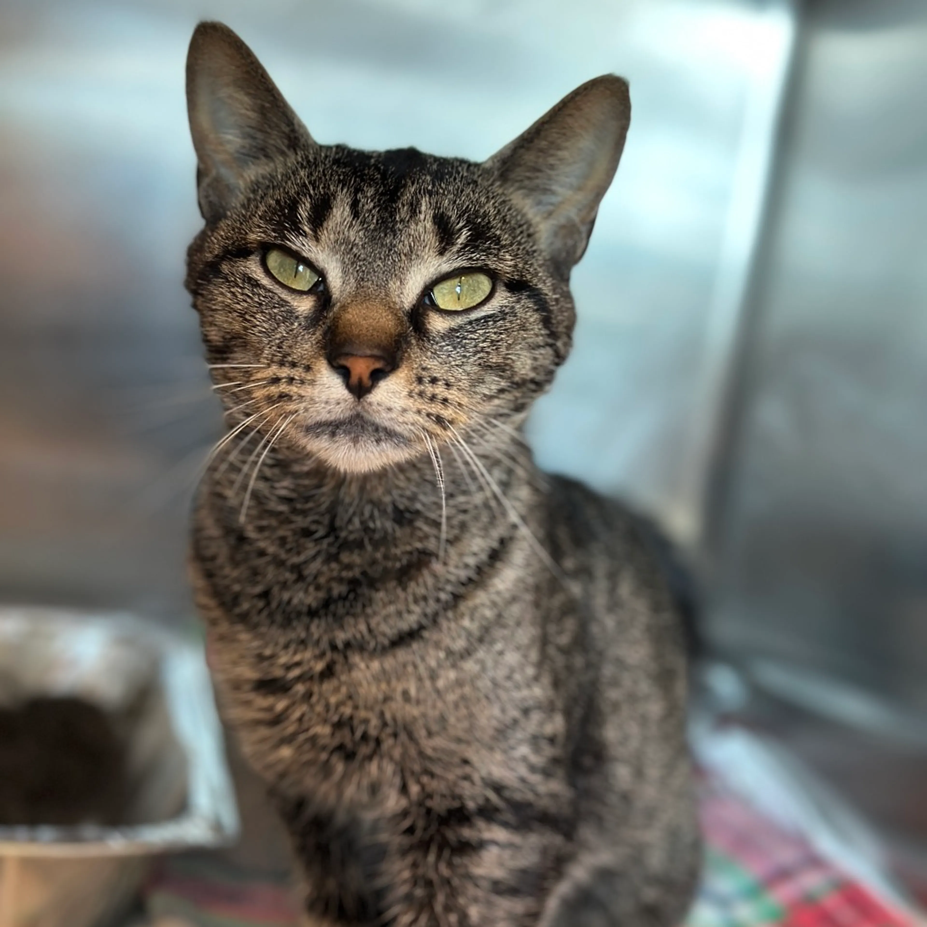 -3