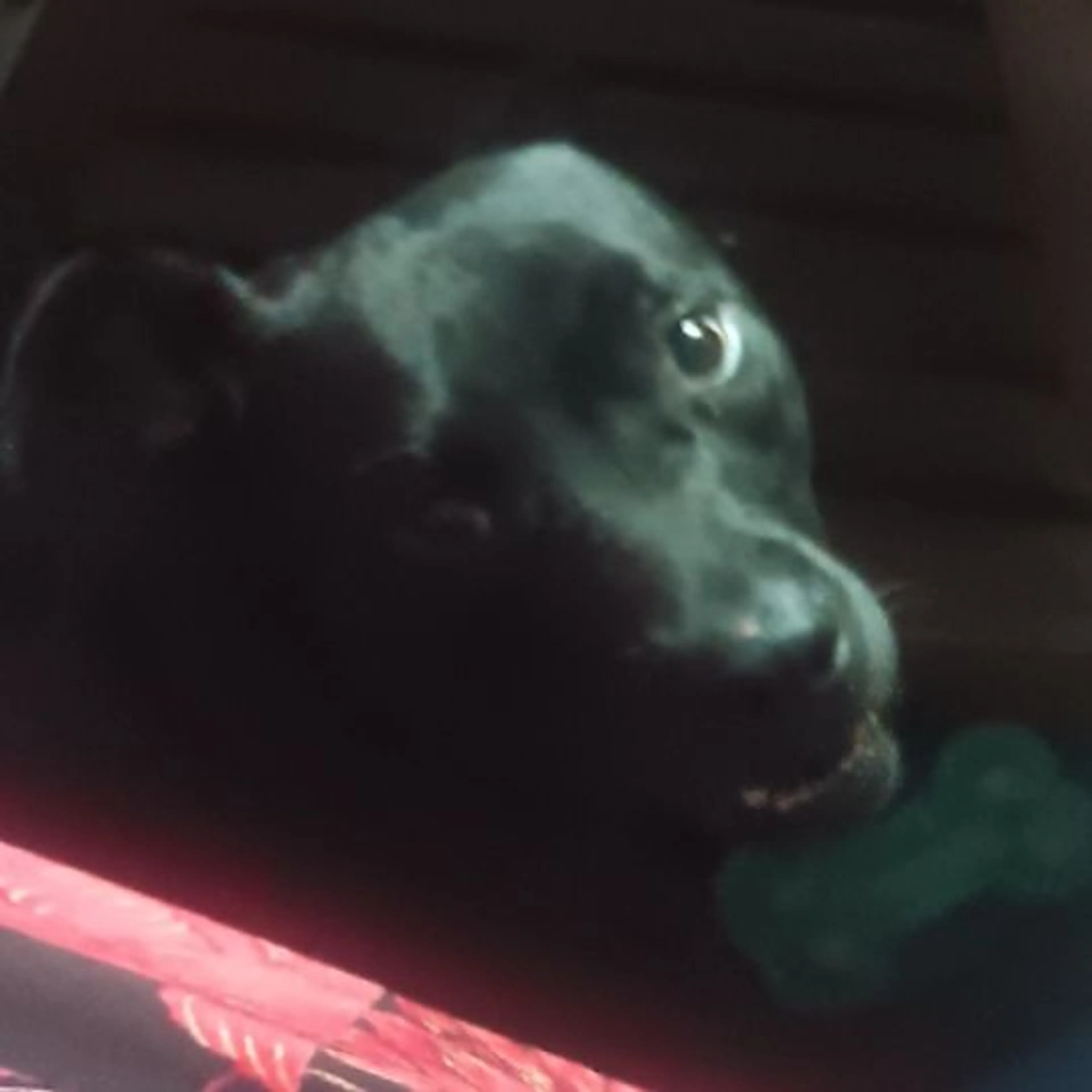 -0