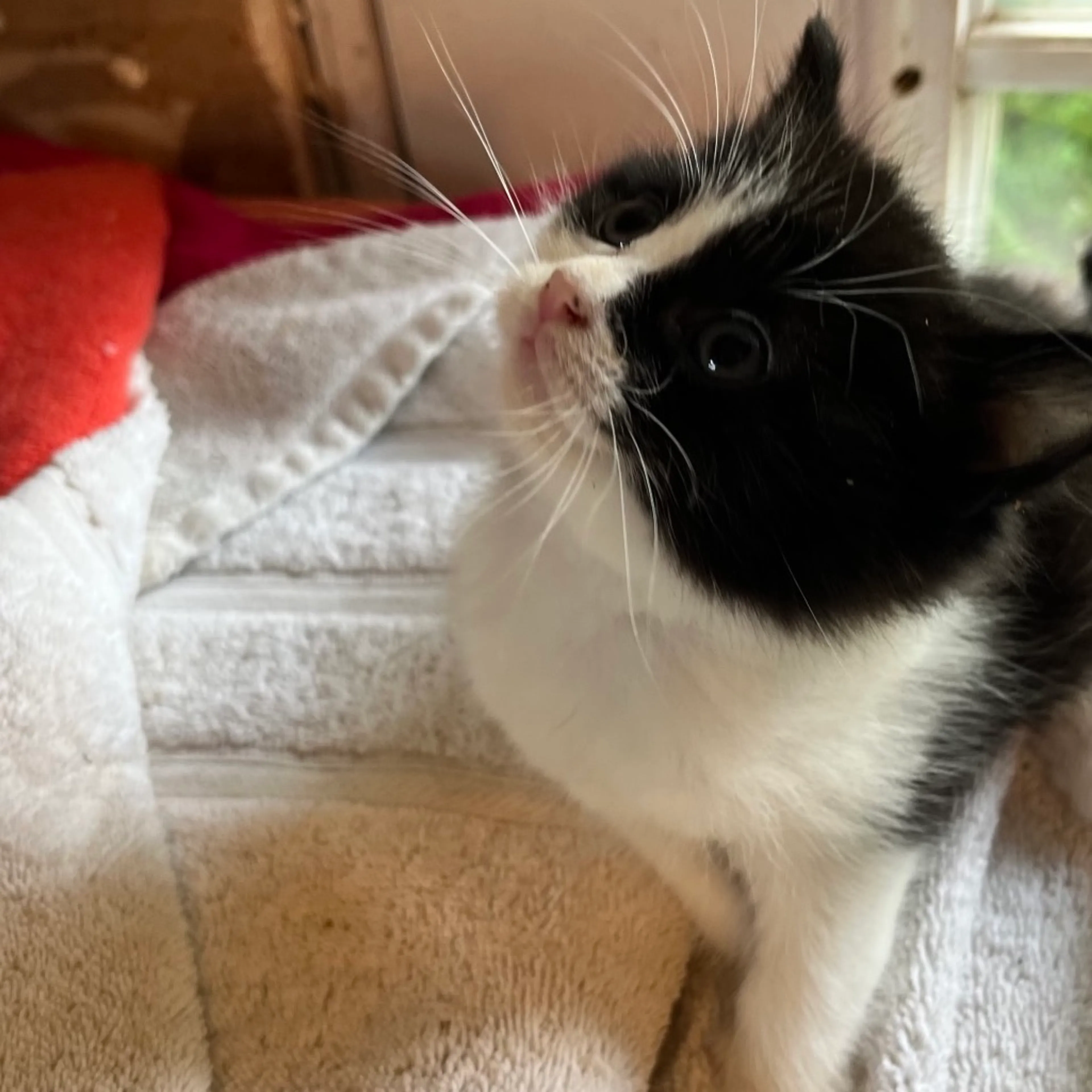 -0