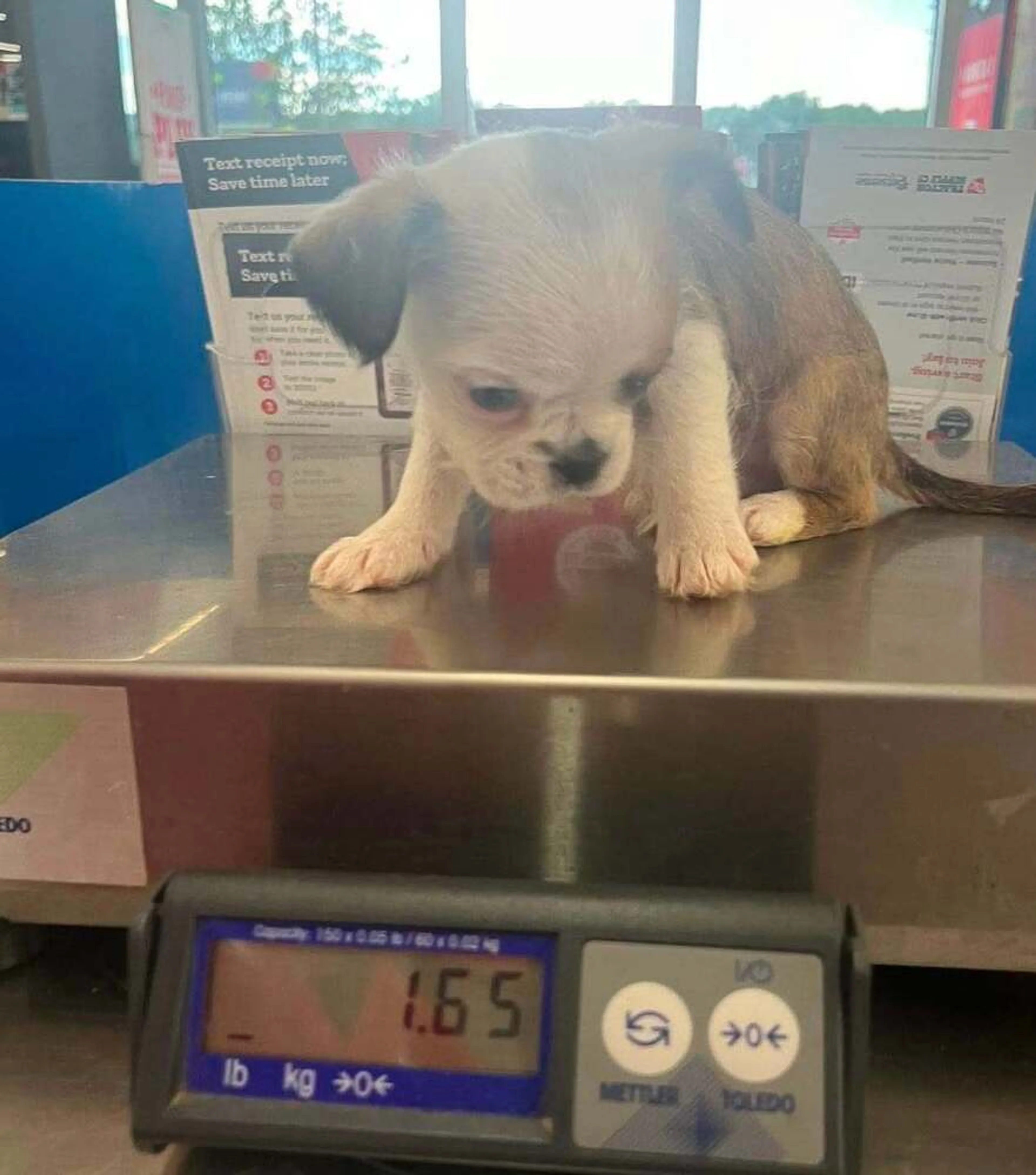 -1