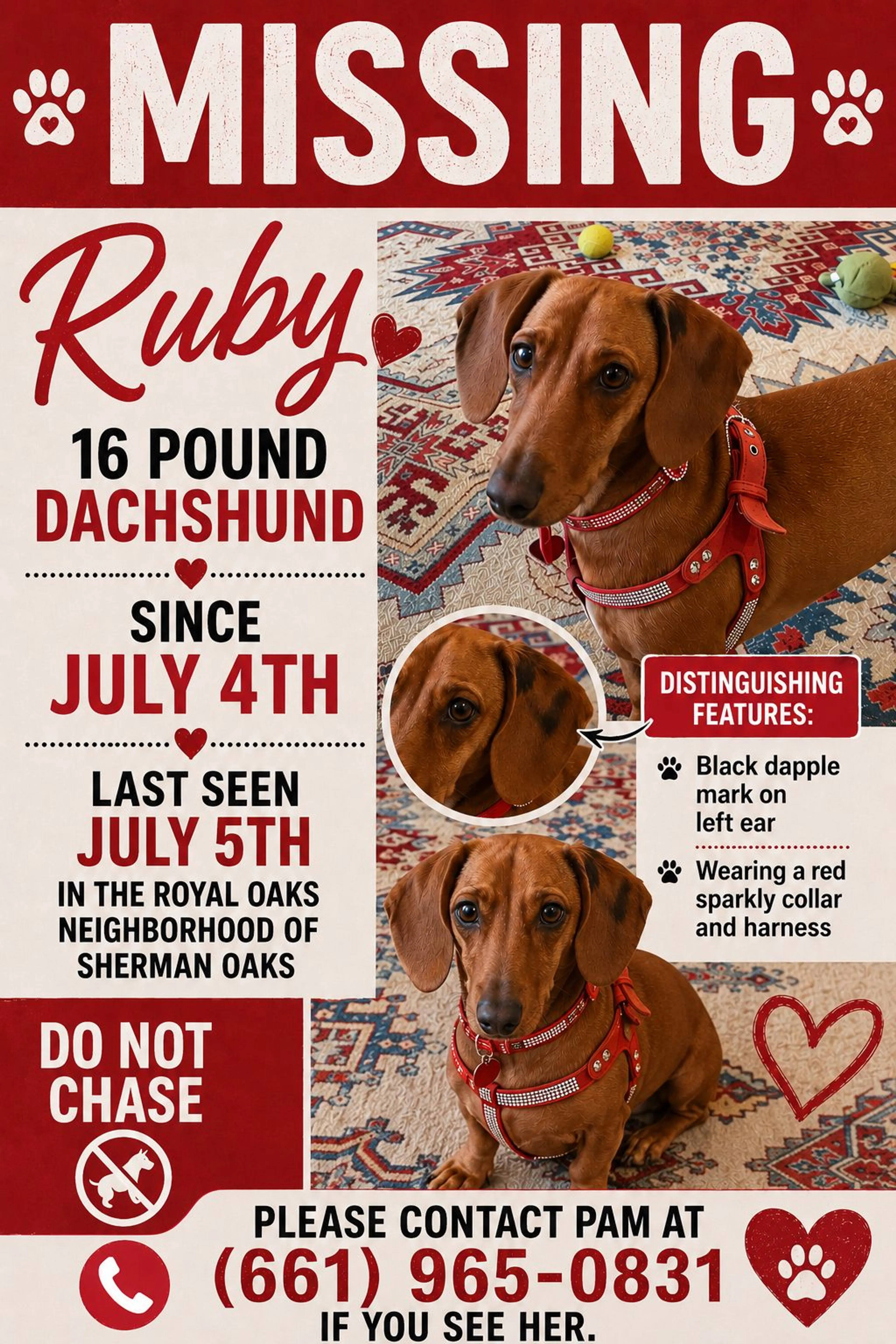 cdn image