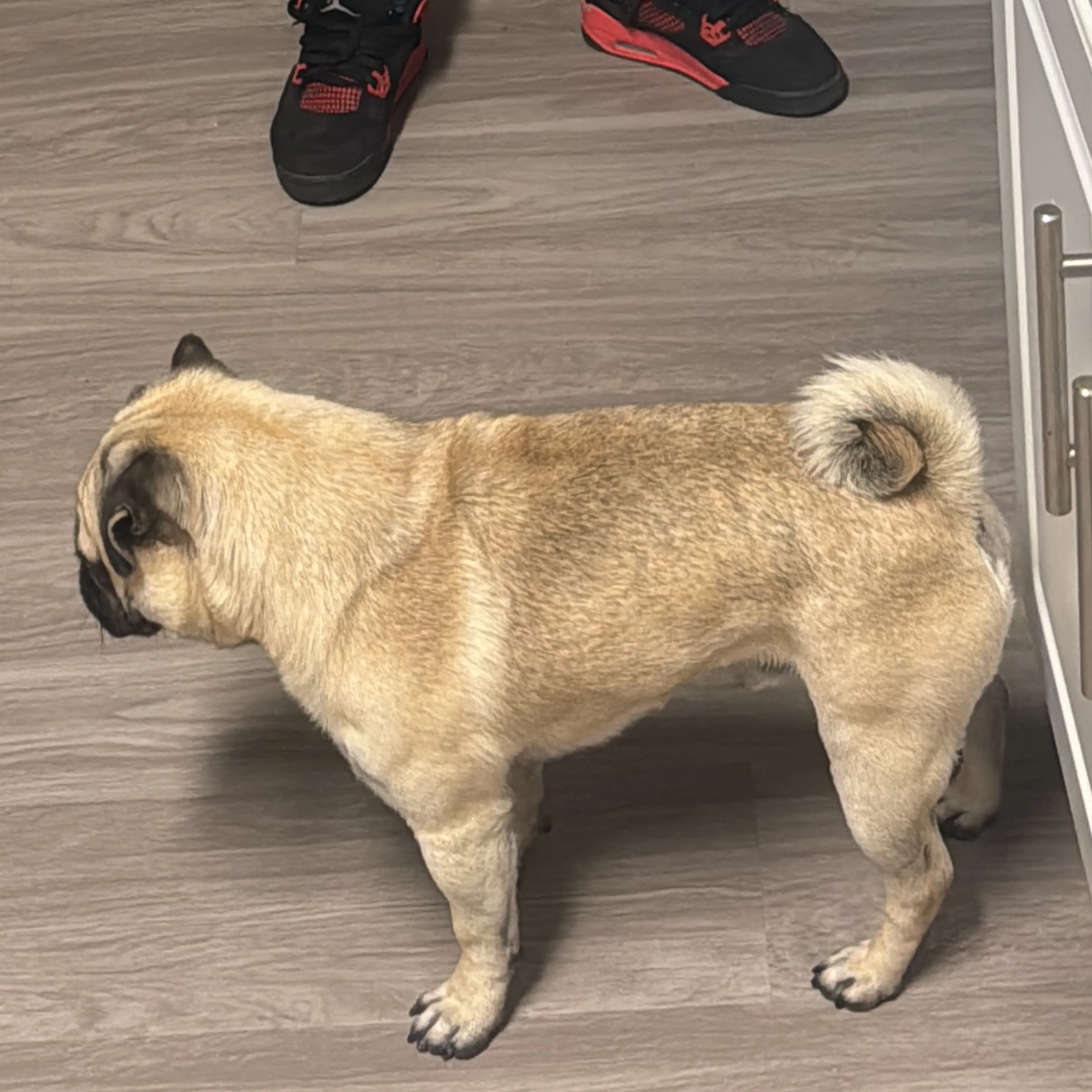 -3